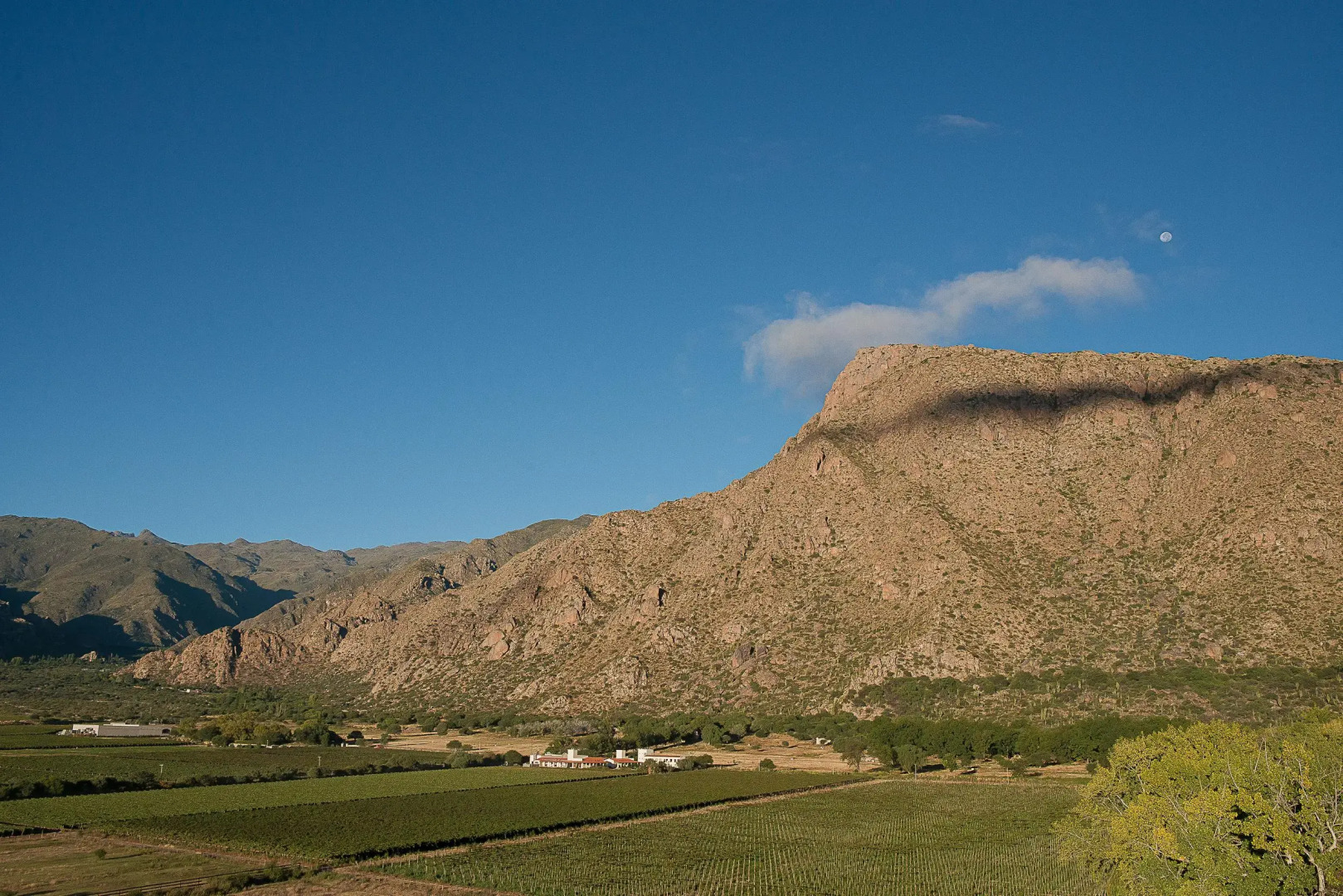 Viñas De Cafayate Wine Resort
