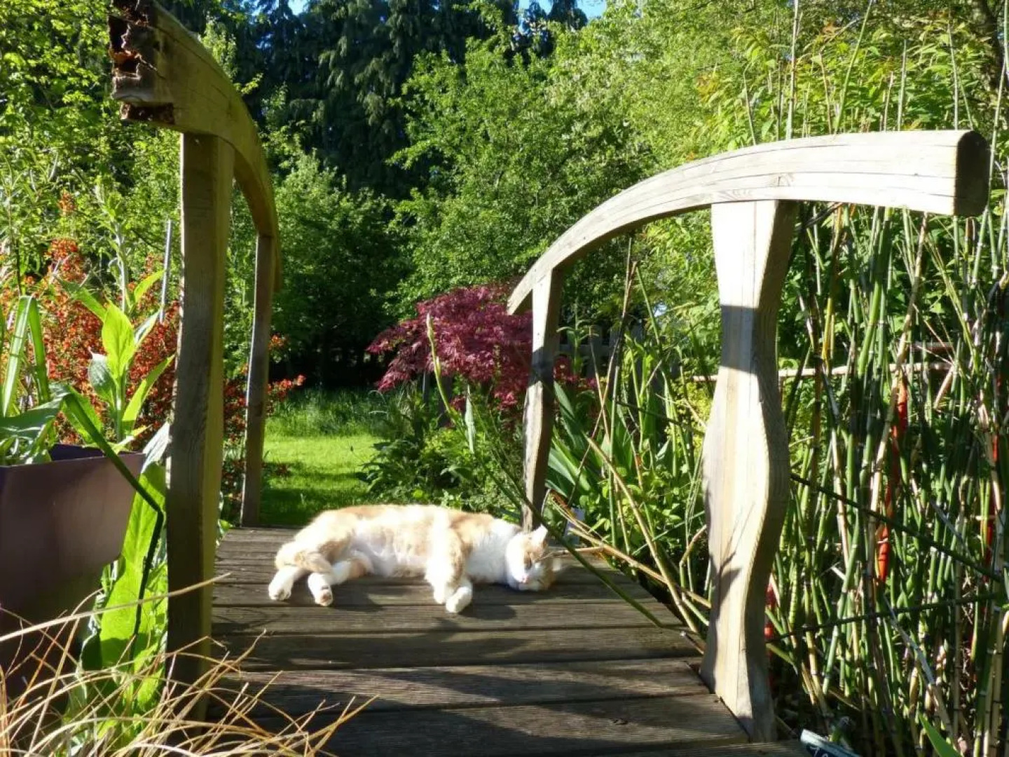 Gîte Sainte-Opportune, 3 pièces, 4 personnes - FR-1-497-35