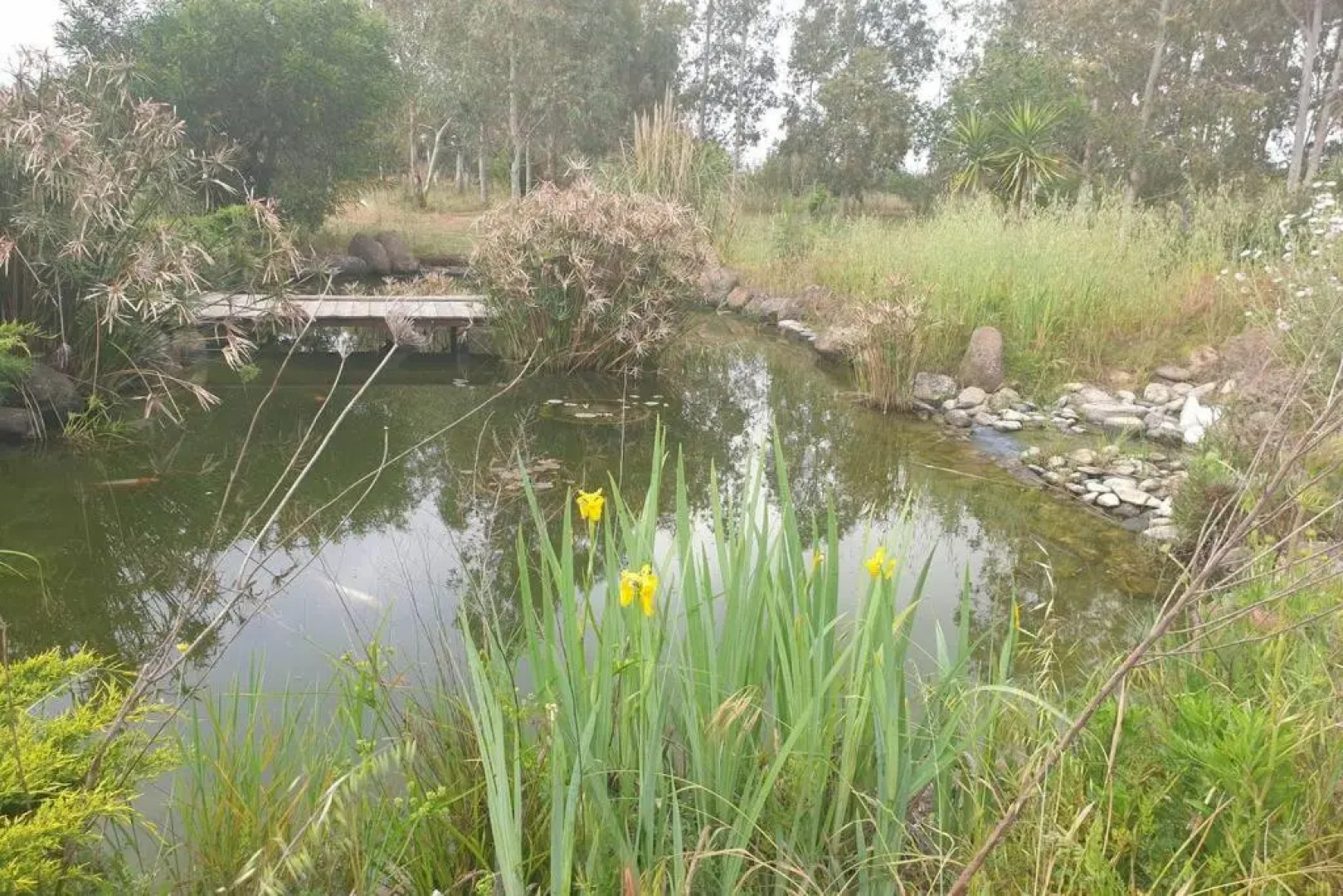 Roby's House, Vivi la Vacanza in Relax (2l)