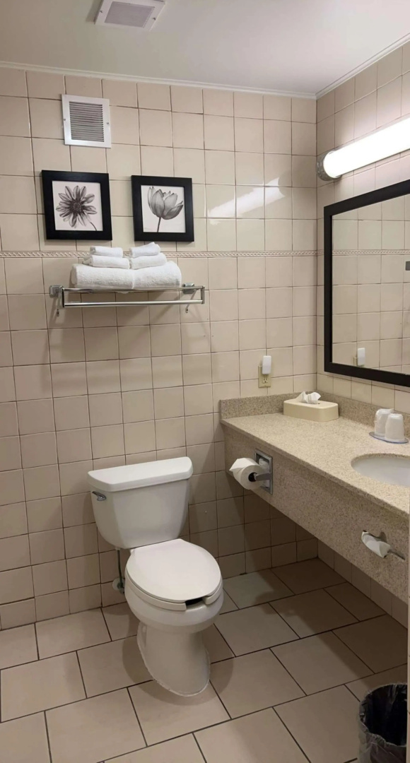 Flamingo inn and suites