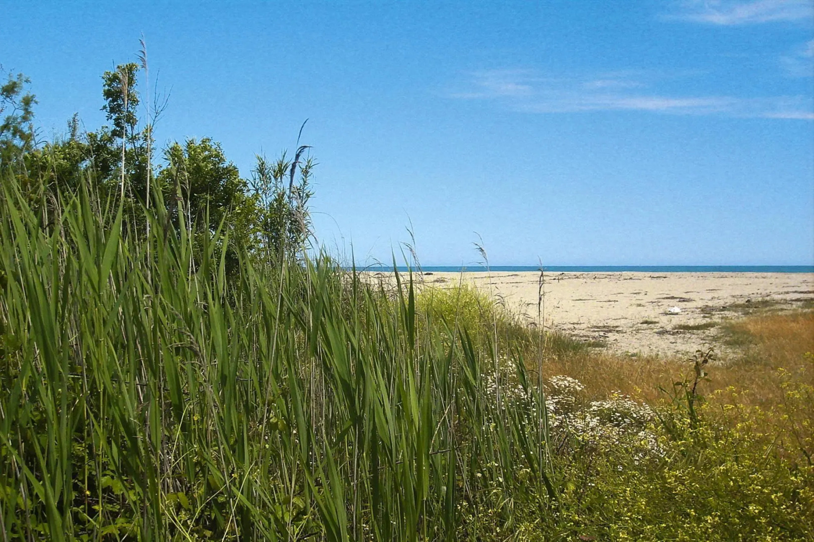 Residence Marina Corsa, Ghisonaccia, Apt. With Balcony or Small Garden