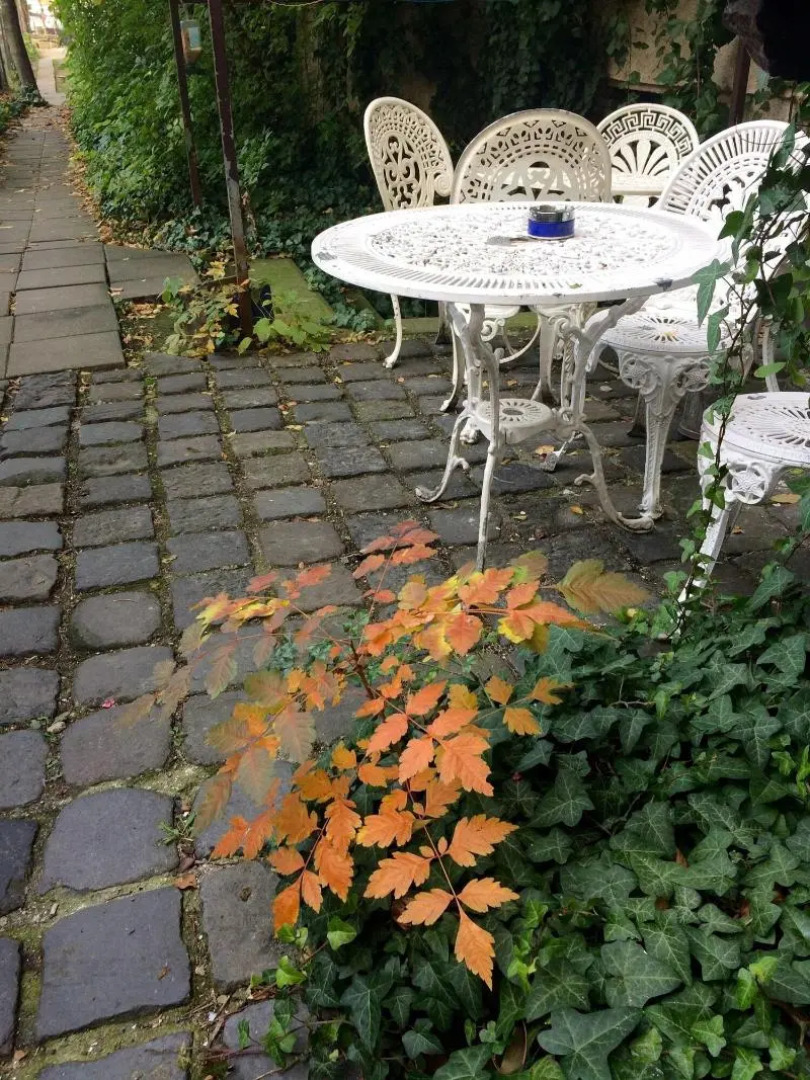 Baroque Hostel & Coworking