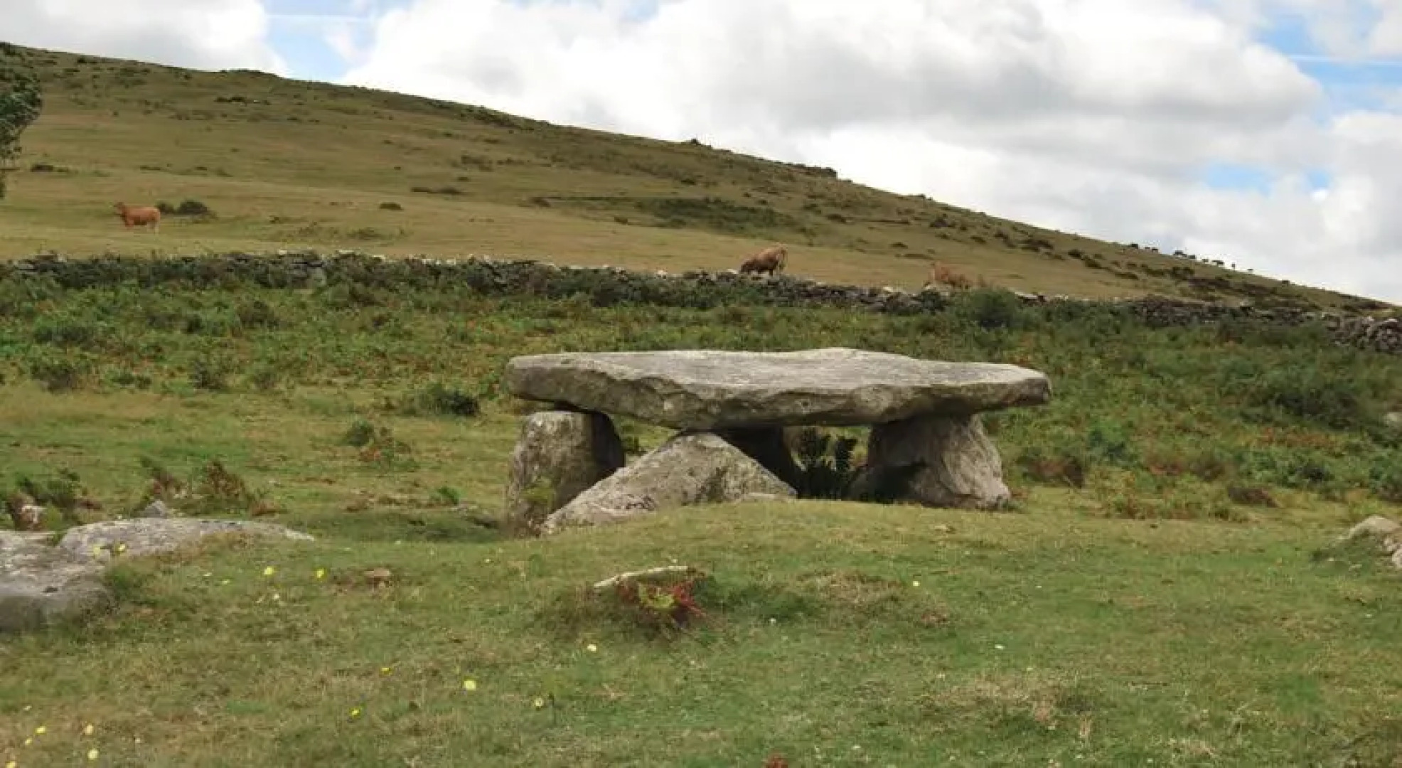 Hotel Torre de Tuña