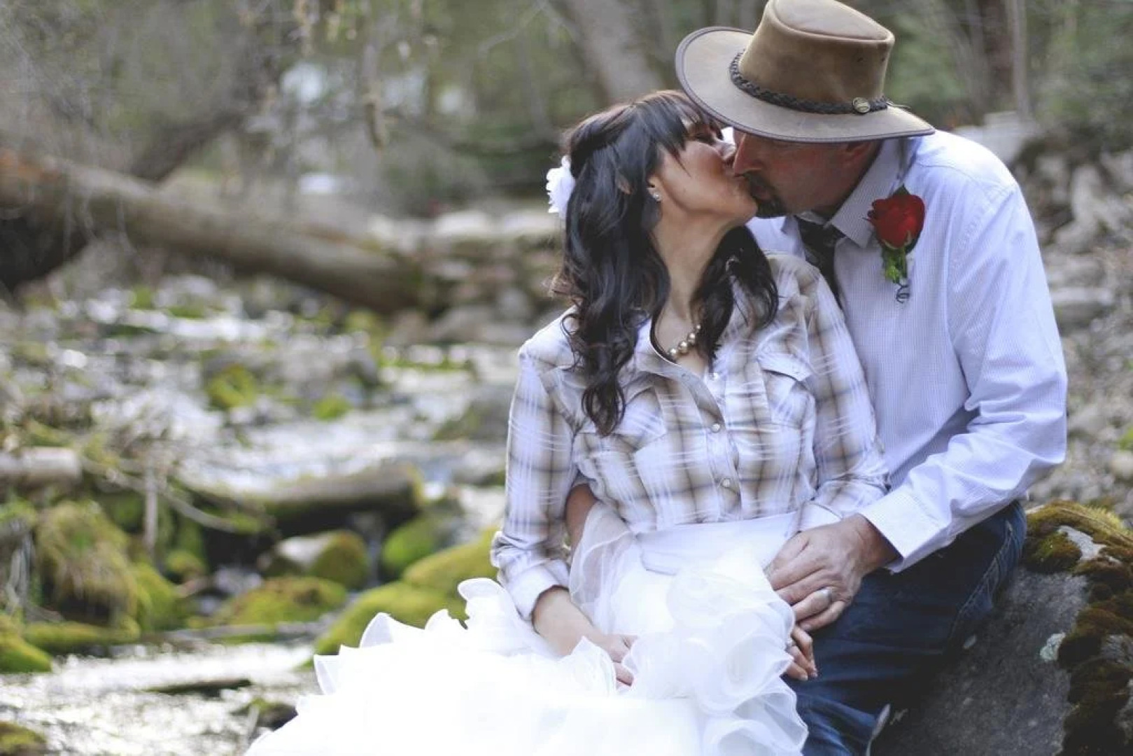 Treehouse On The Stream