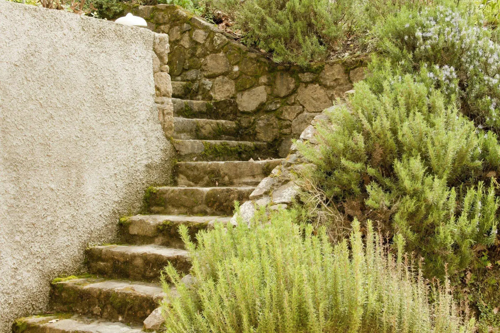 Residence Montefiore