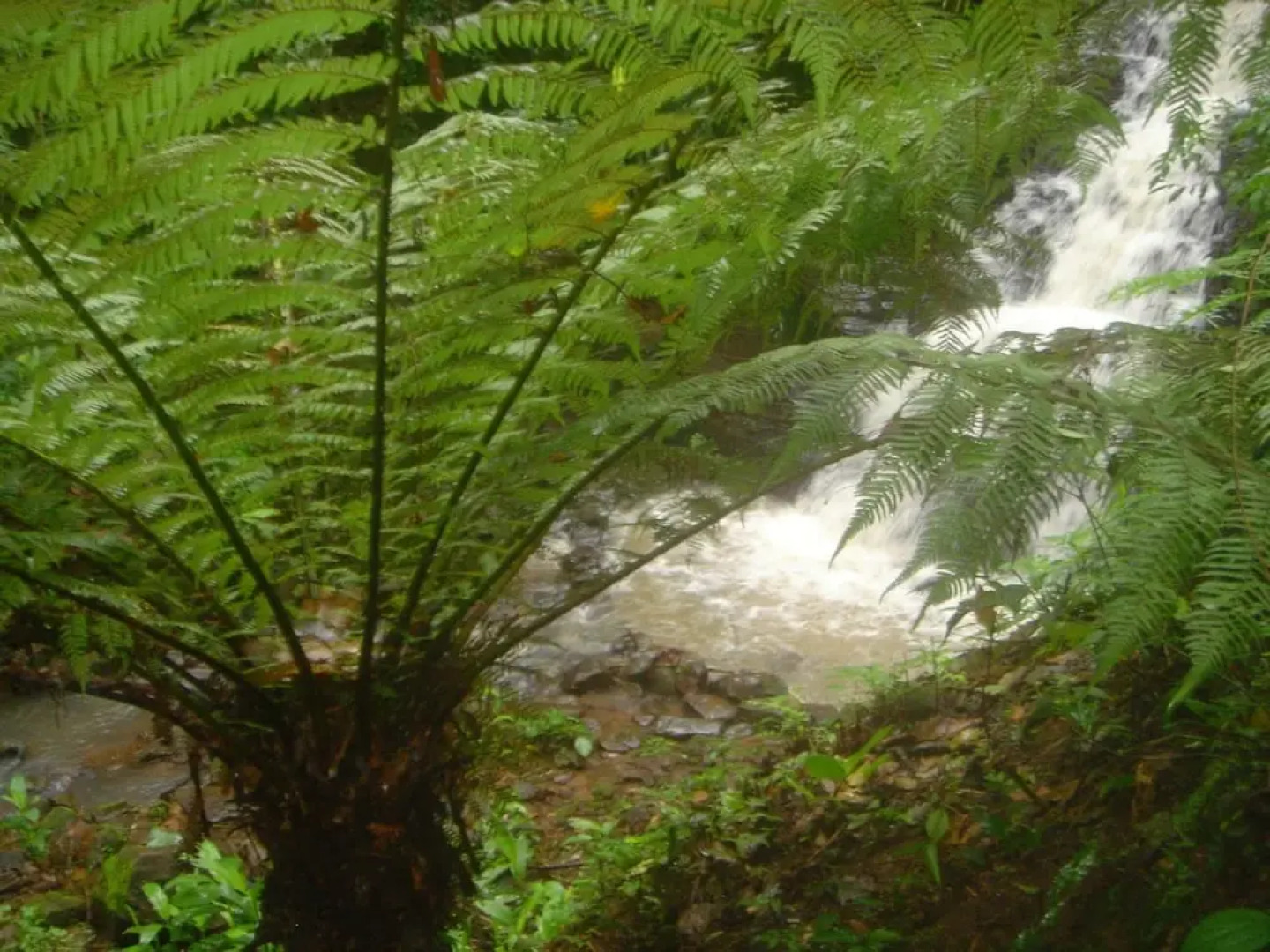 Pousada Heritage Colonial