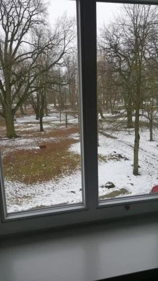 Gaststatte Zum Storchennest Inh. Peggy Cyllik