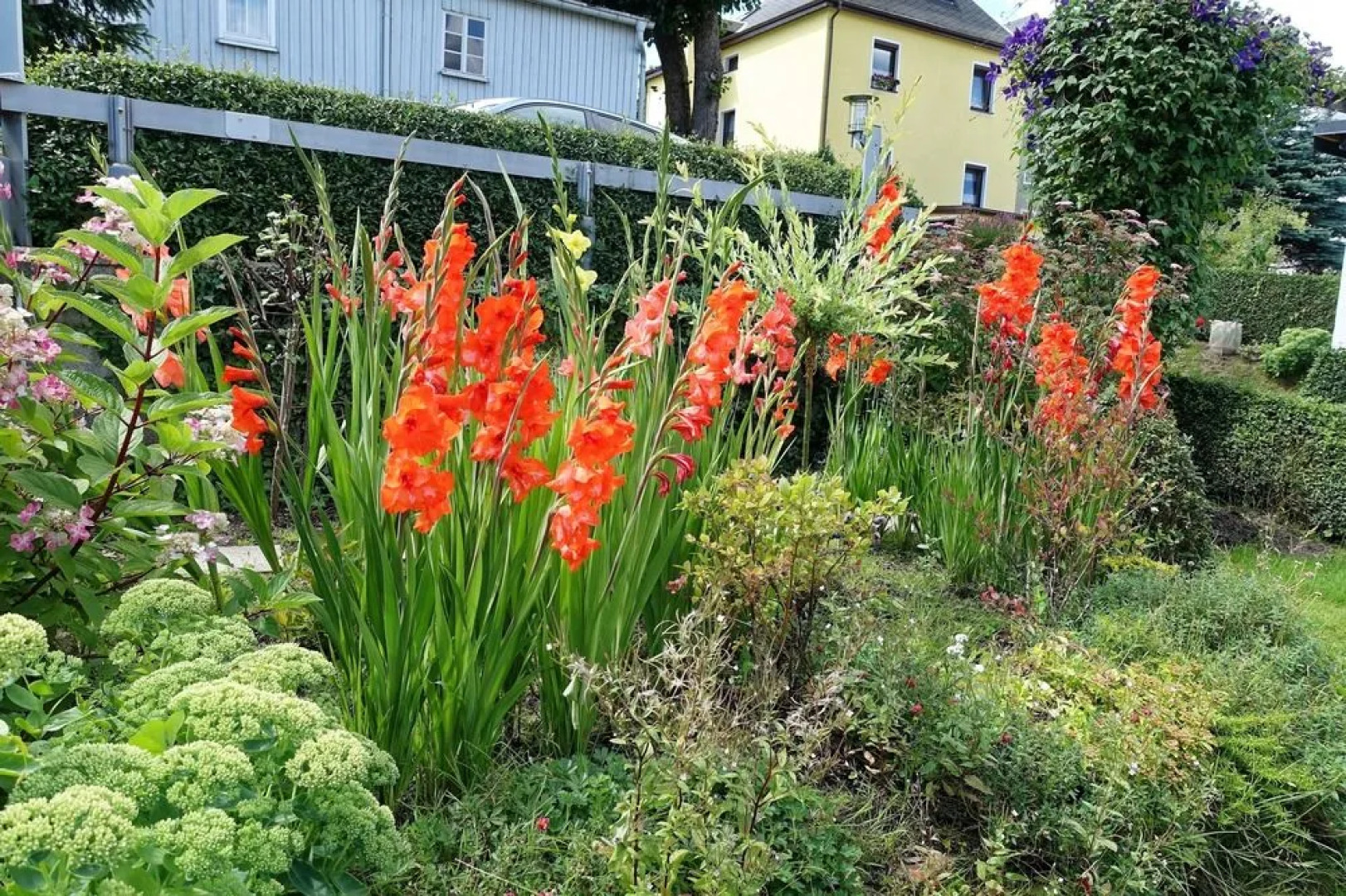 Ferienwohnung Haus Feig