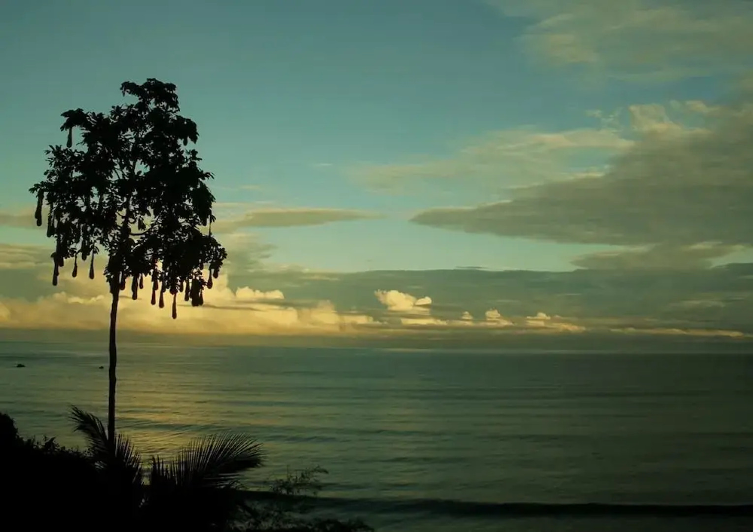 El Amargal Reserva Natural