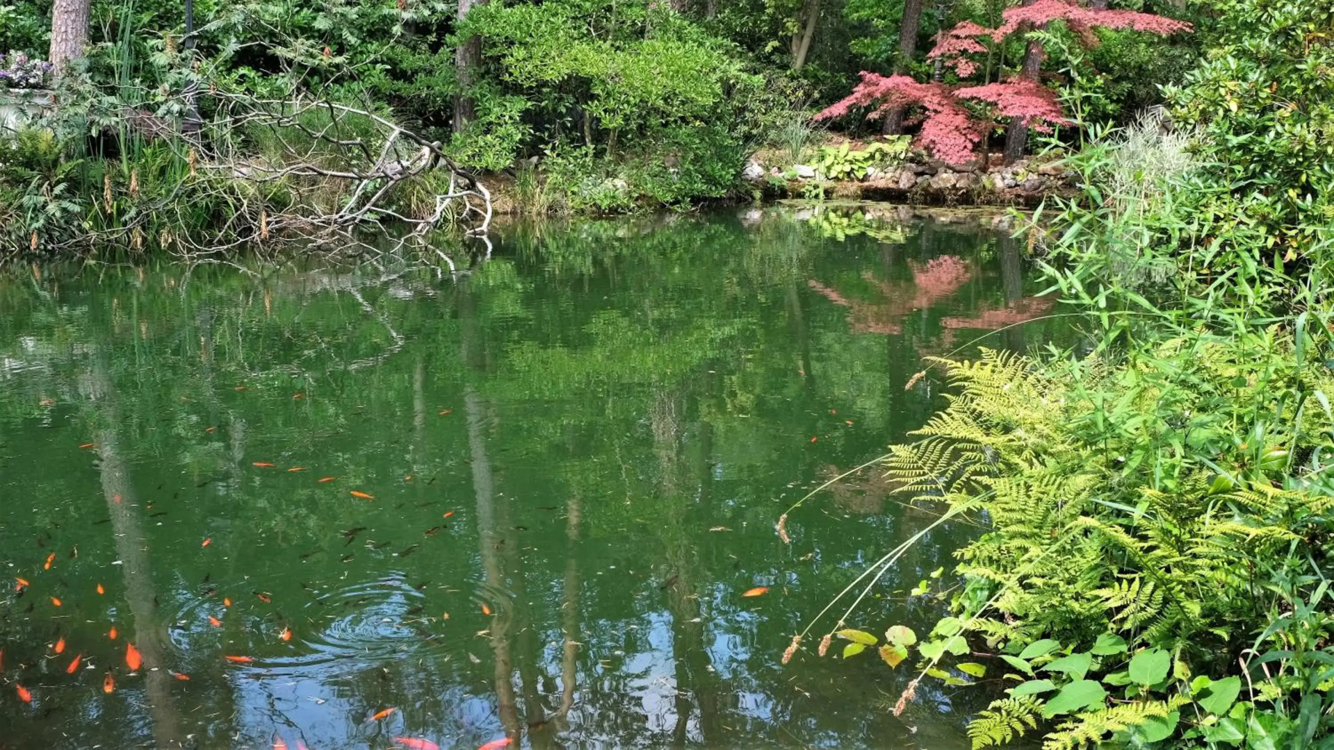 Vakantiewoning Salland