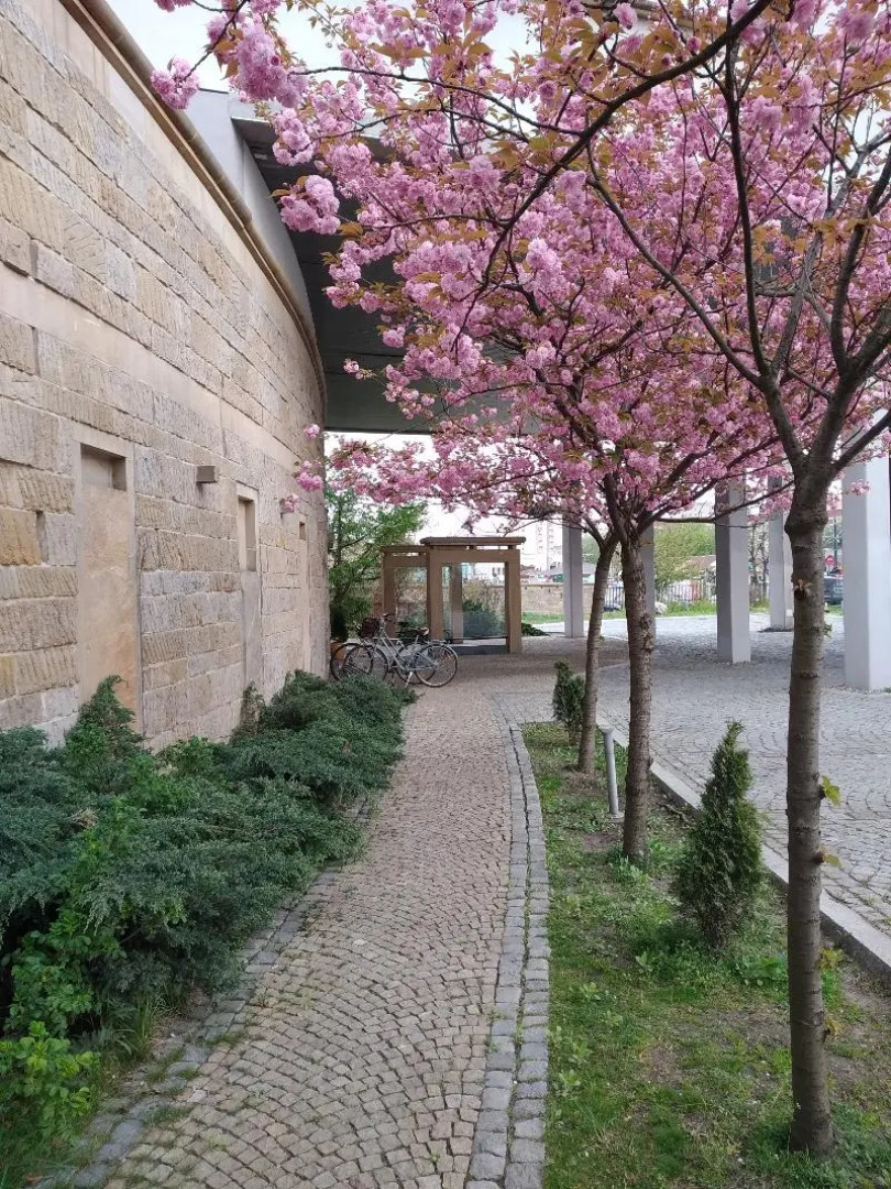 Zakrzówek Residence