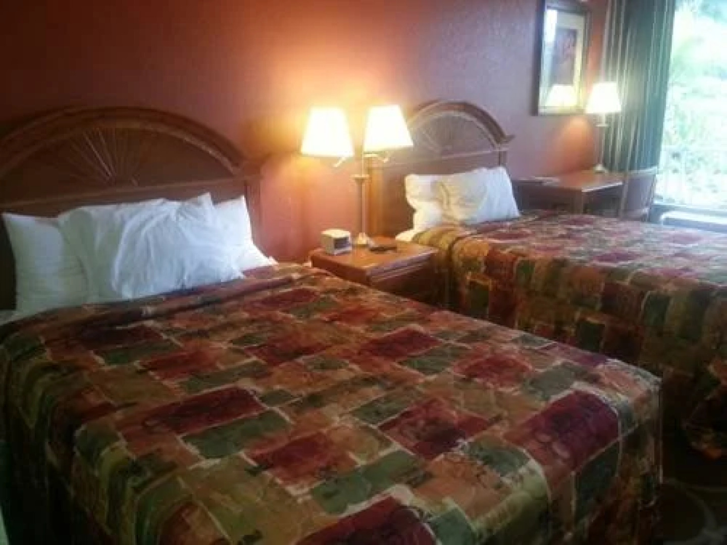 萨拉索塔机场酒店(Sarasota Airport Hotel)