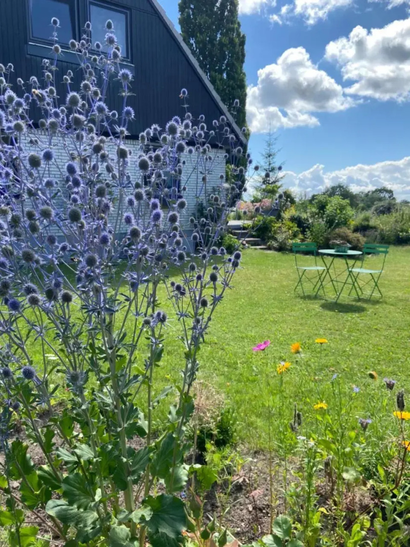 Zum Felde Ferienwohnungen