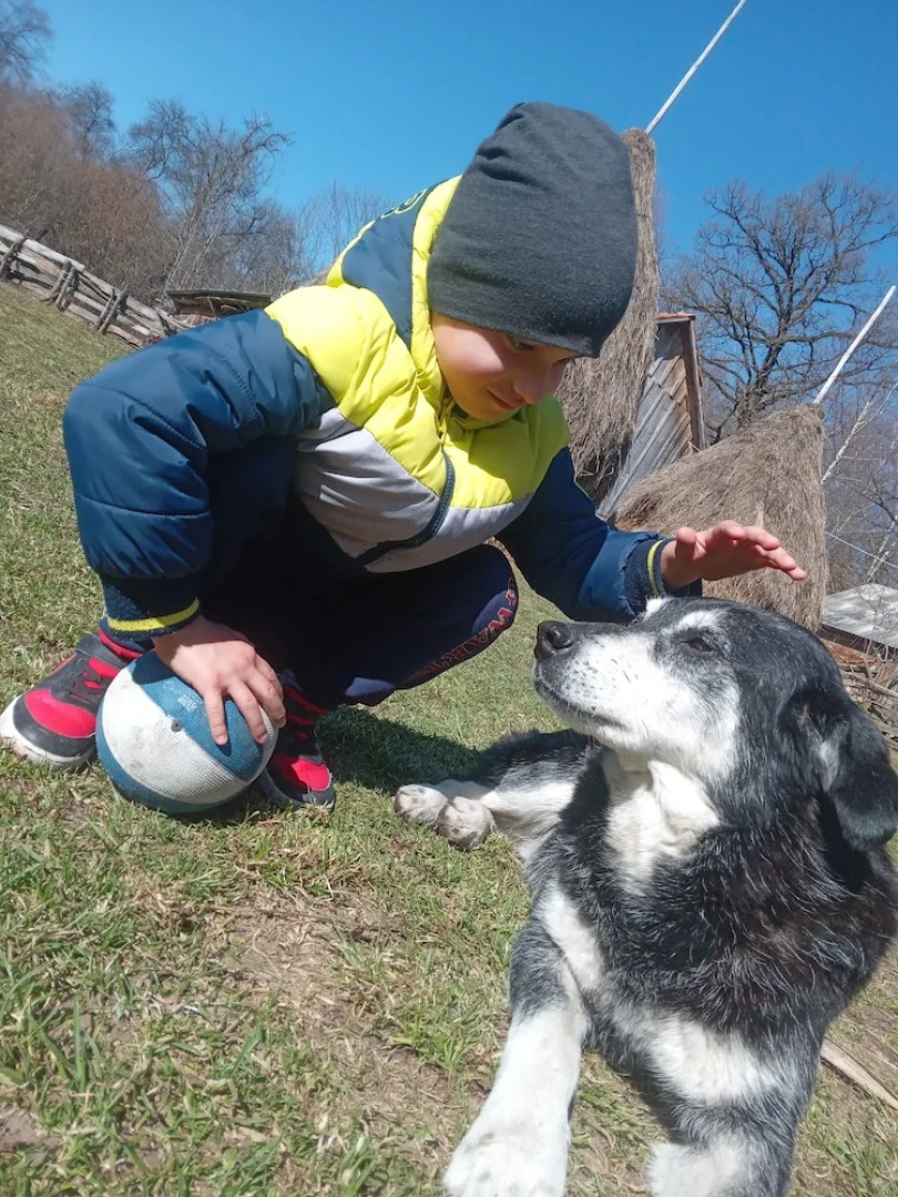 Room in Guest Room - Cozy Rural Retreat in Roşia Montana