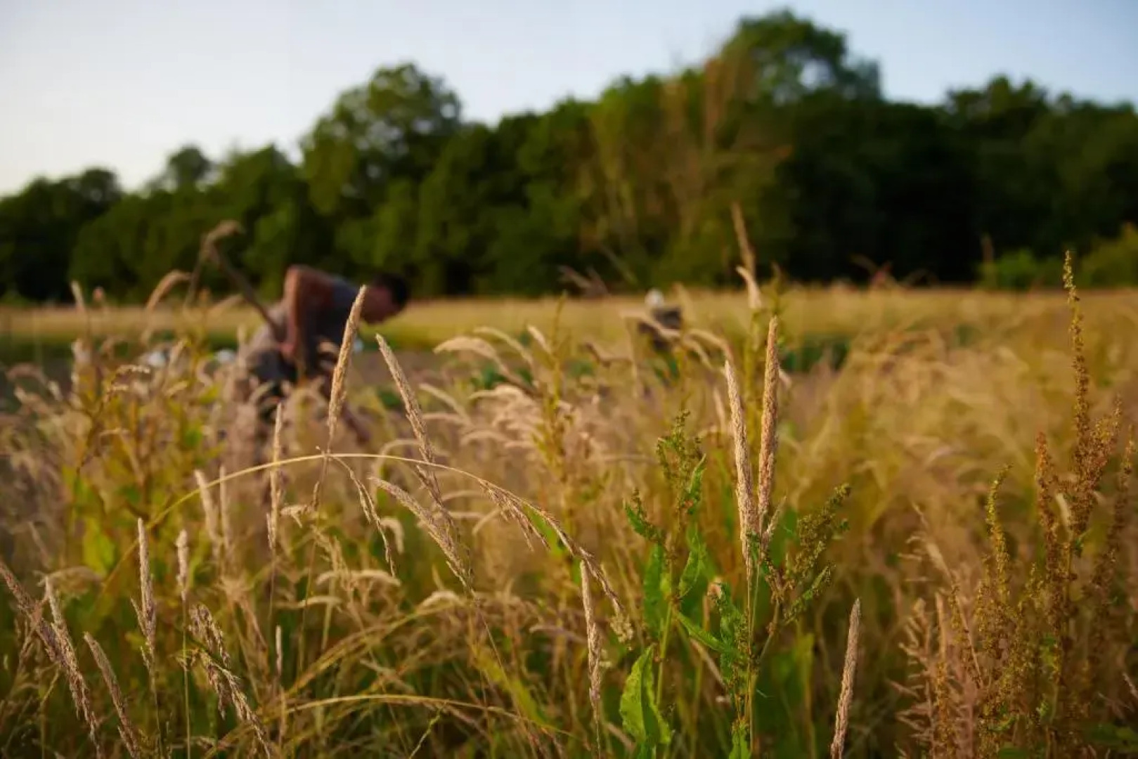 Le Camping de Ma Petite Ferme