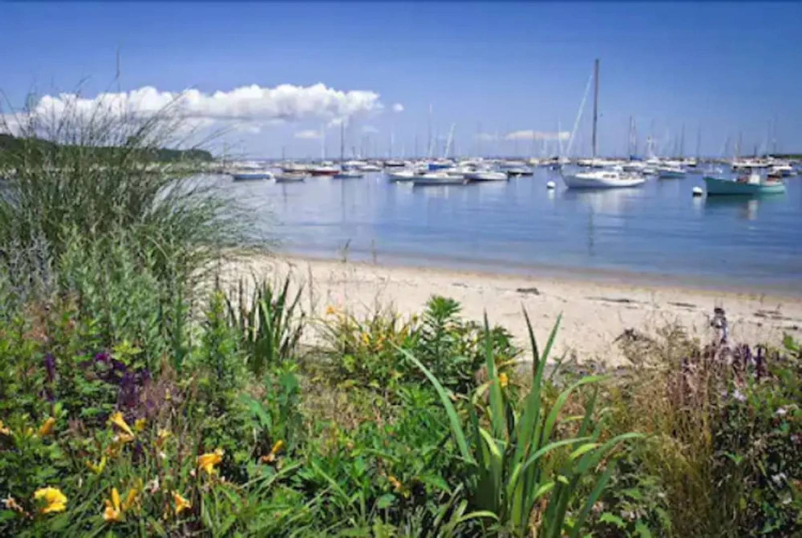 Mansion House Inn And Spa