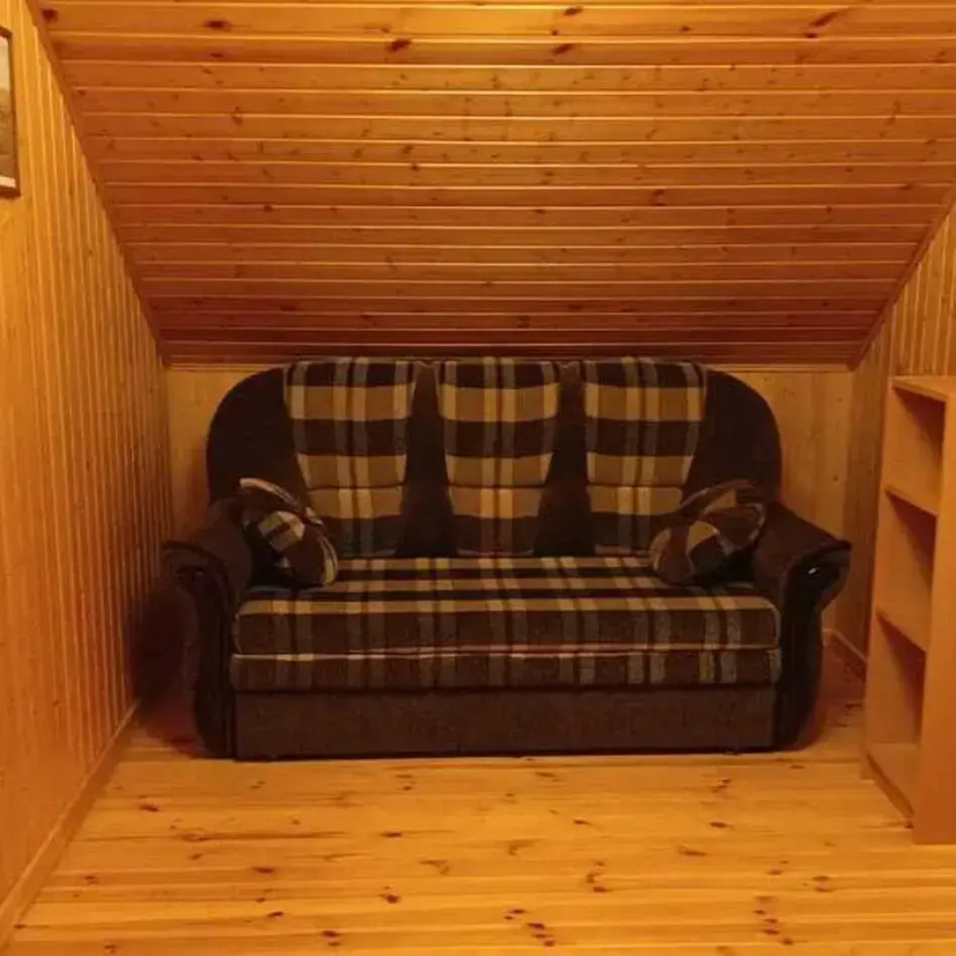 Рябинушка 1