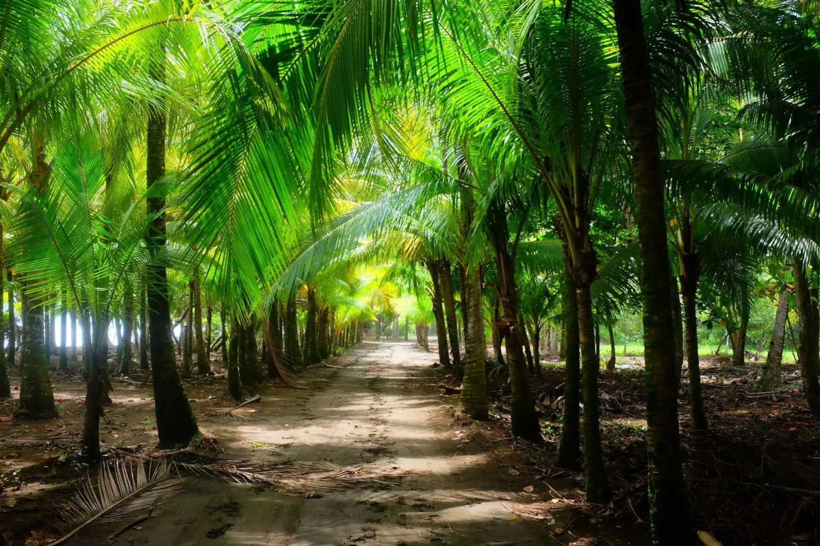 La Palapa Eco Lodge Resort