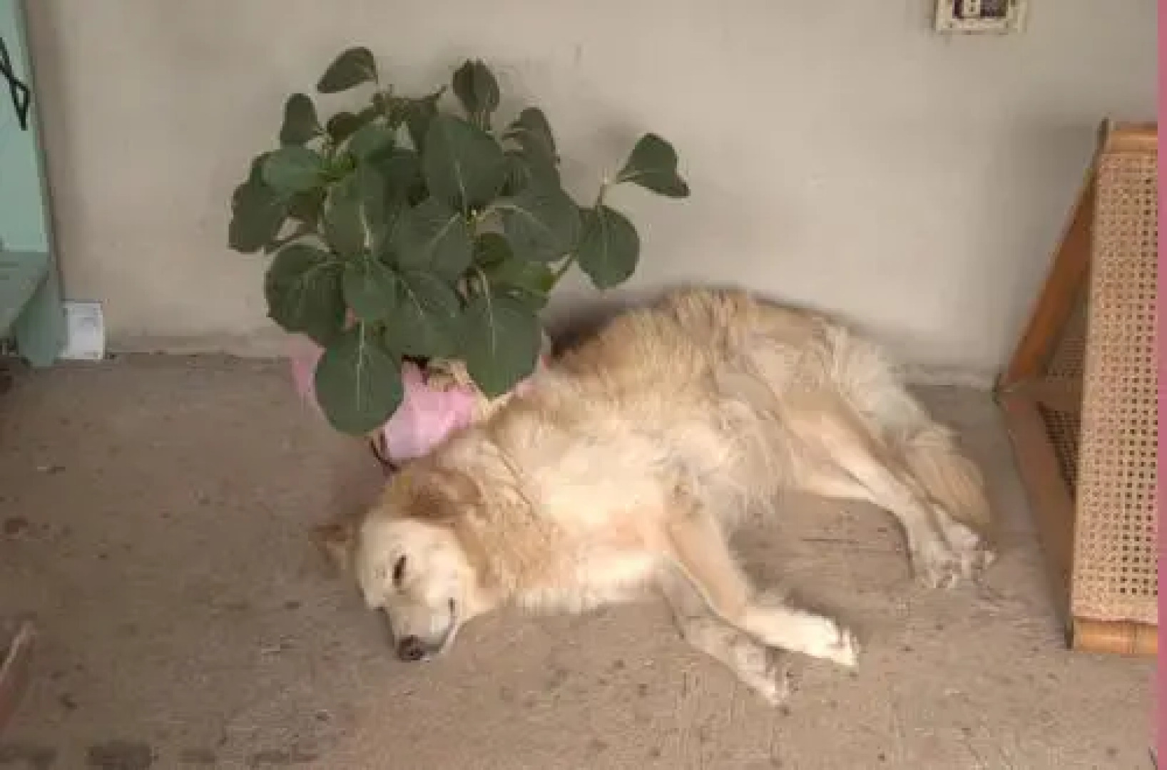 Bed and Breakfast da Lucia