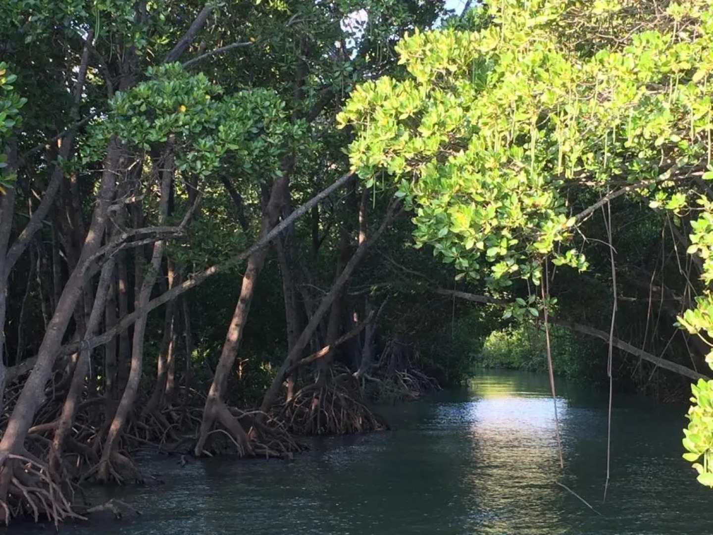 Shambhala Retreat Magnetic Island Cottages