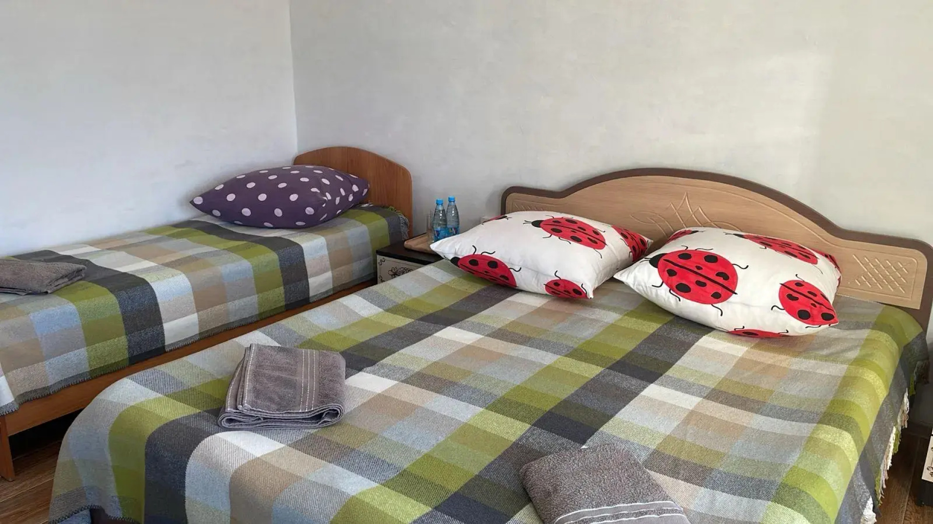 Кедр Золотой