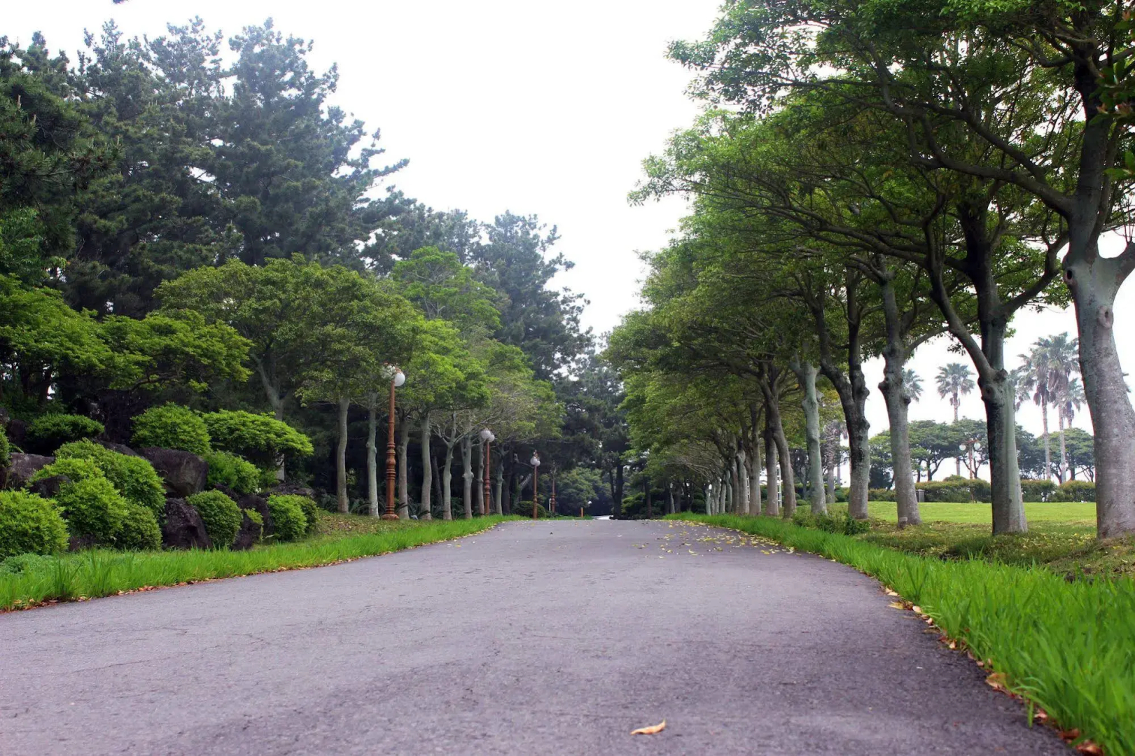 Seogwipo KAL Hotel