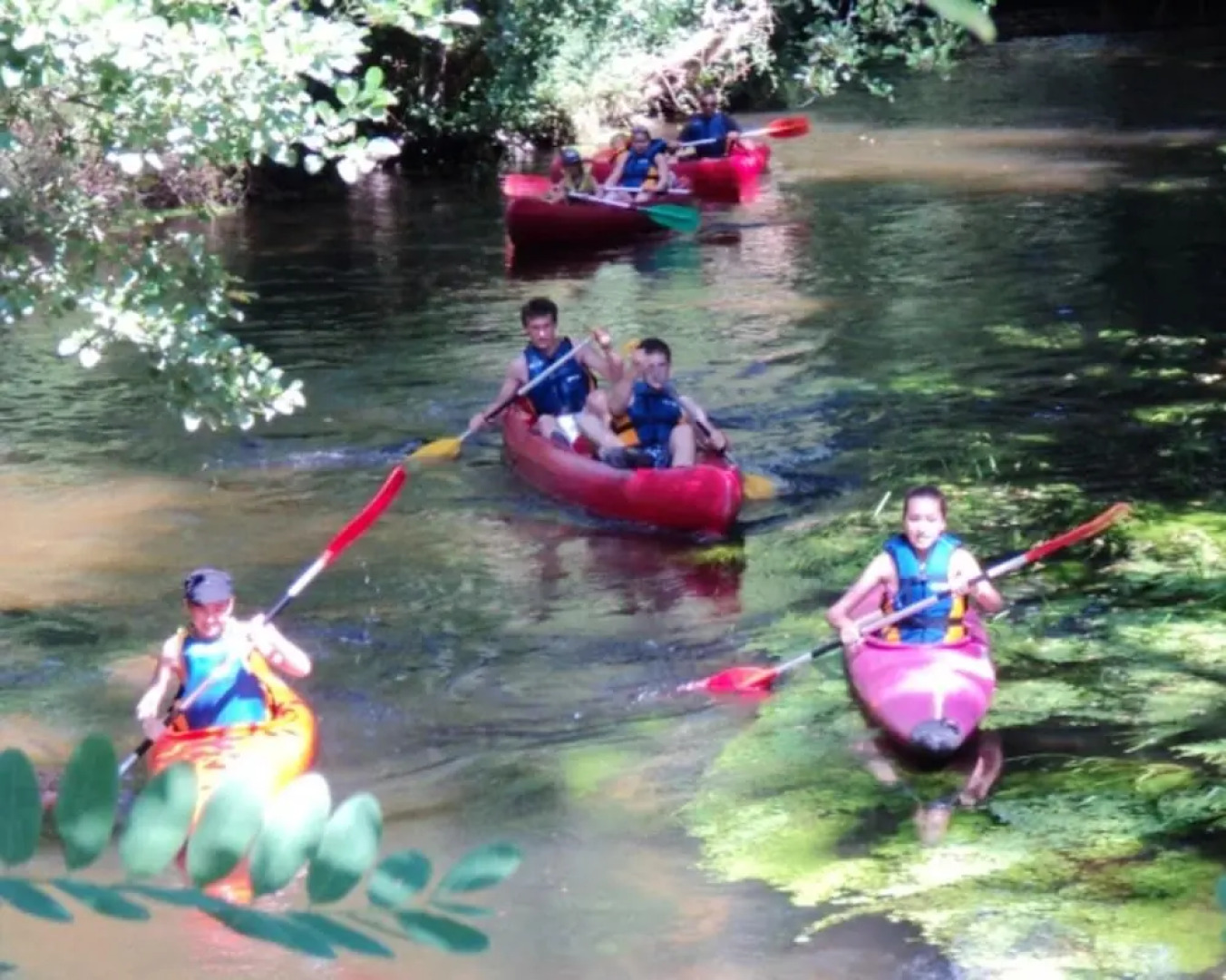 Chalet With 2 Bedrooms in Mézos, With Pool Access, Enclosed Garden and Wifi - 15 km From the Beach