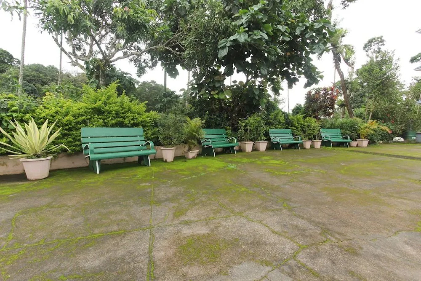 Oyo 47373 Coorg Sanjos Resort