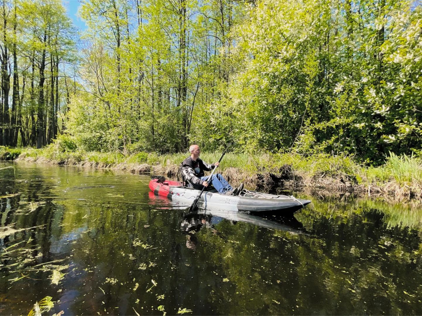 Паит Лосиная долина