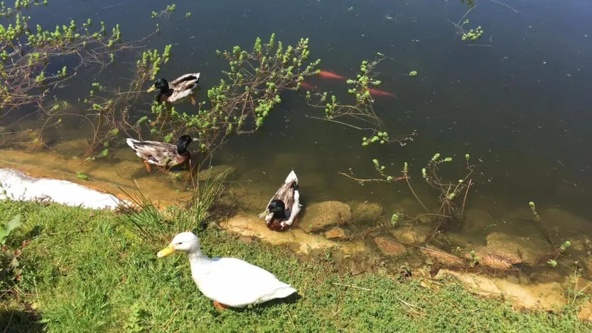 Quinta das Mineirinhas Apartamentos Turisticos