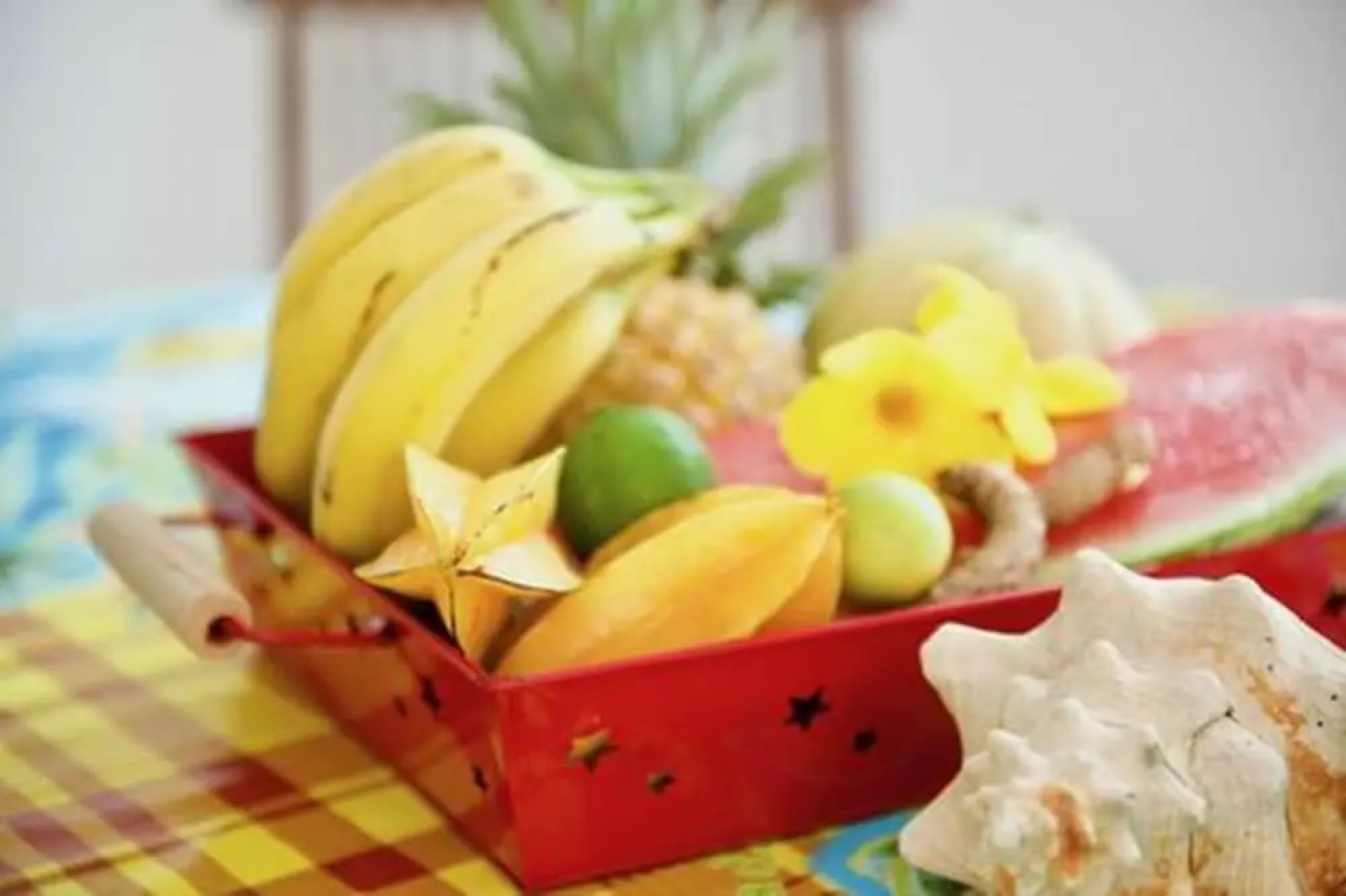 Domaine Des Hibiscus