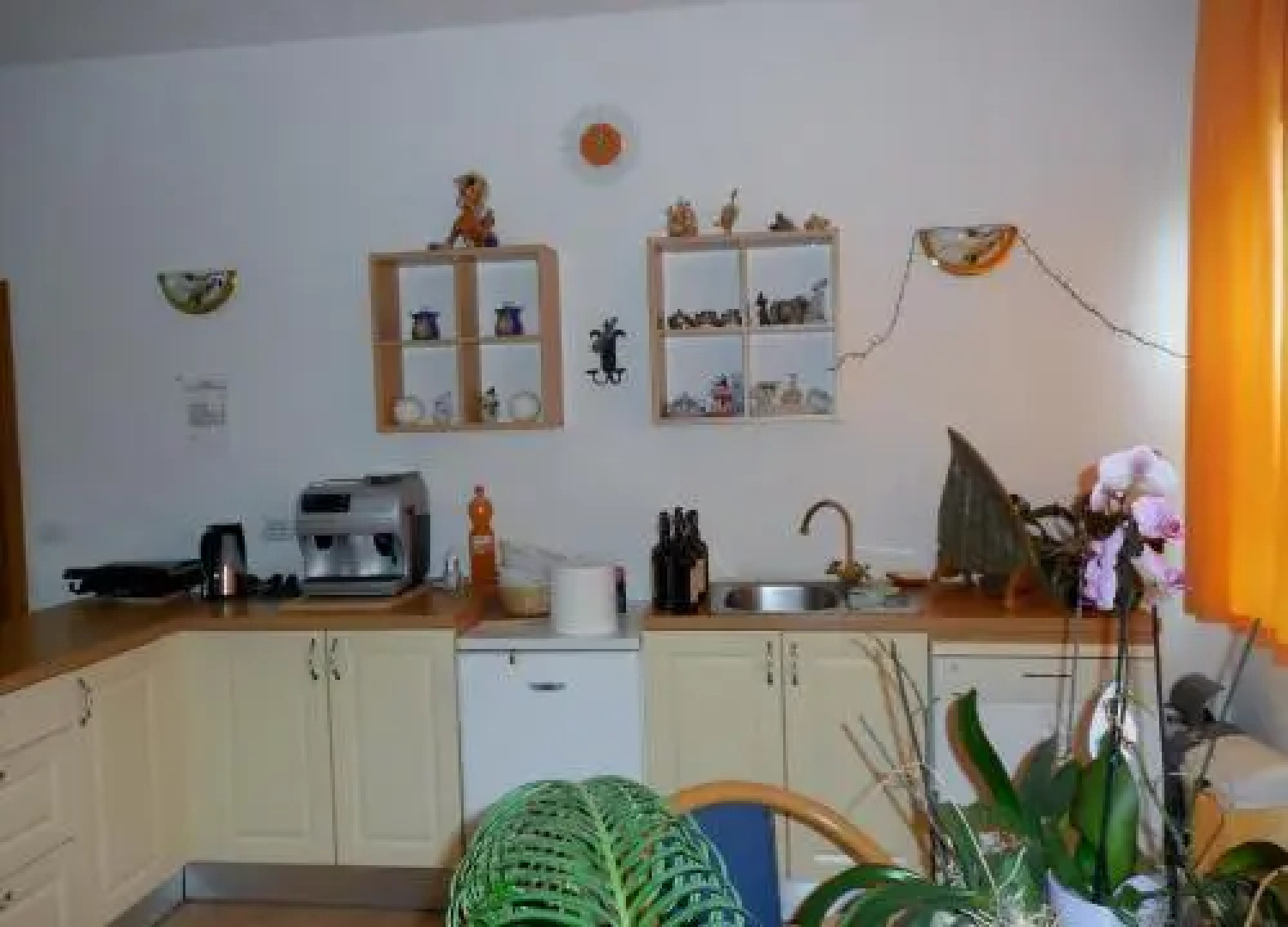 Guest House Garni Mimosa