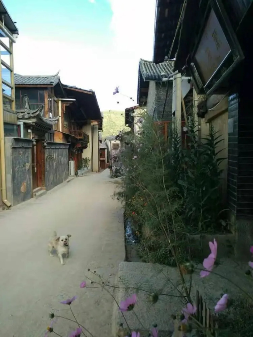 Shangri-La Timeless Inn