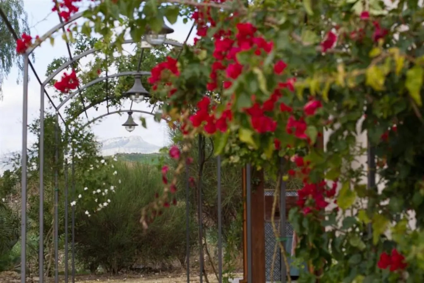 Agriturismo Baglio Donna Santa