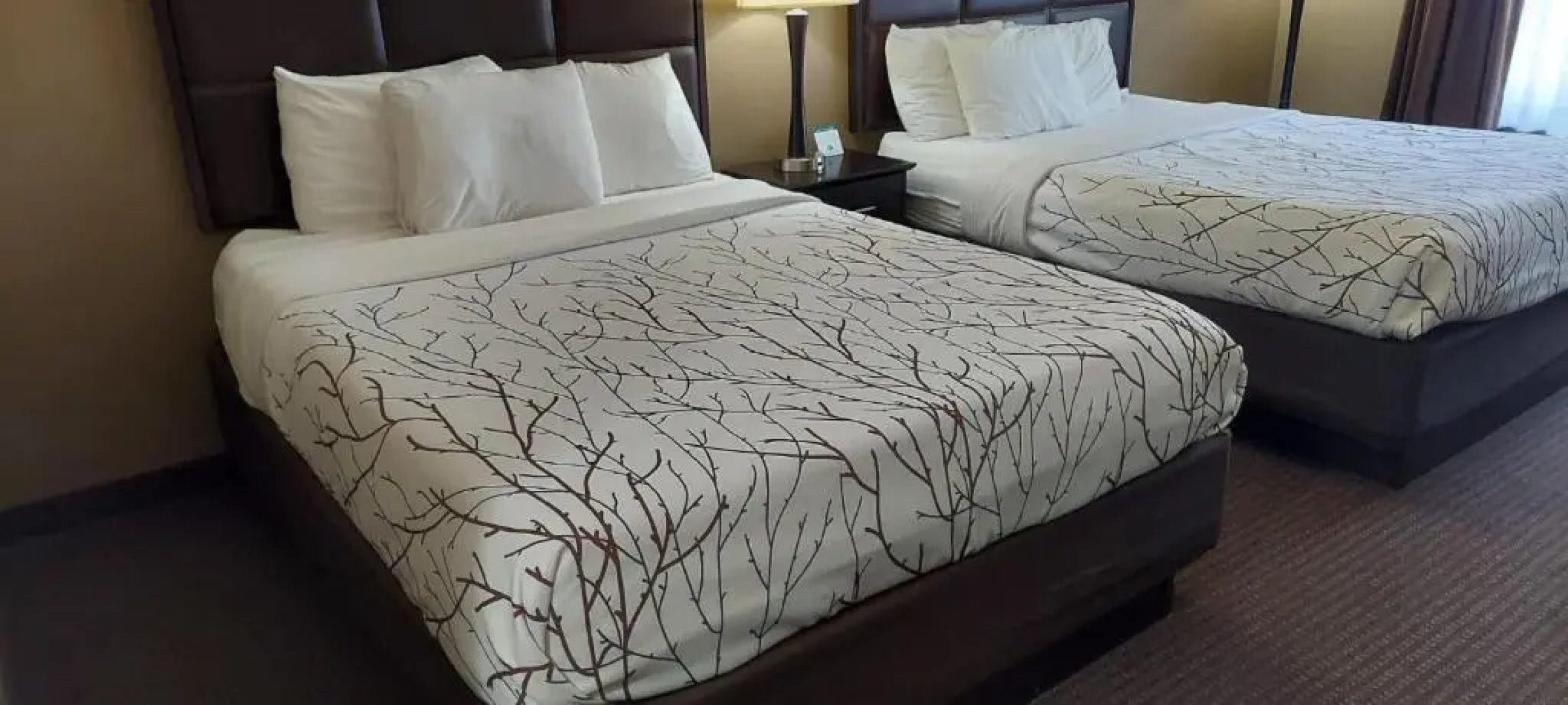 Parkwood Inn & Suites