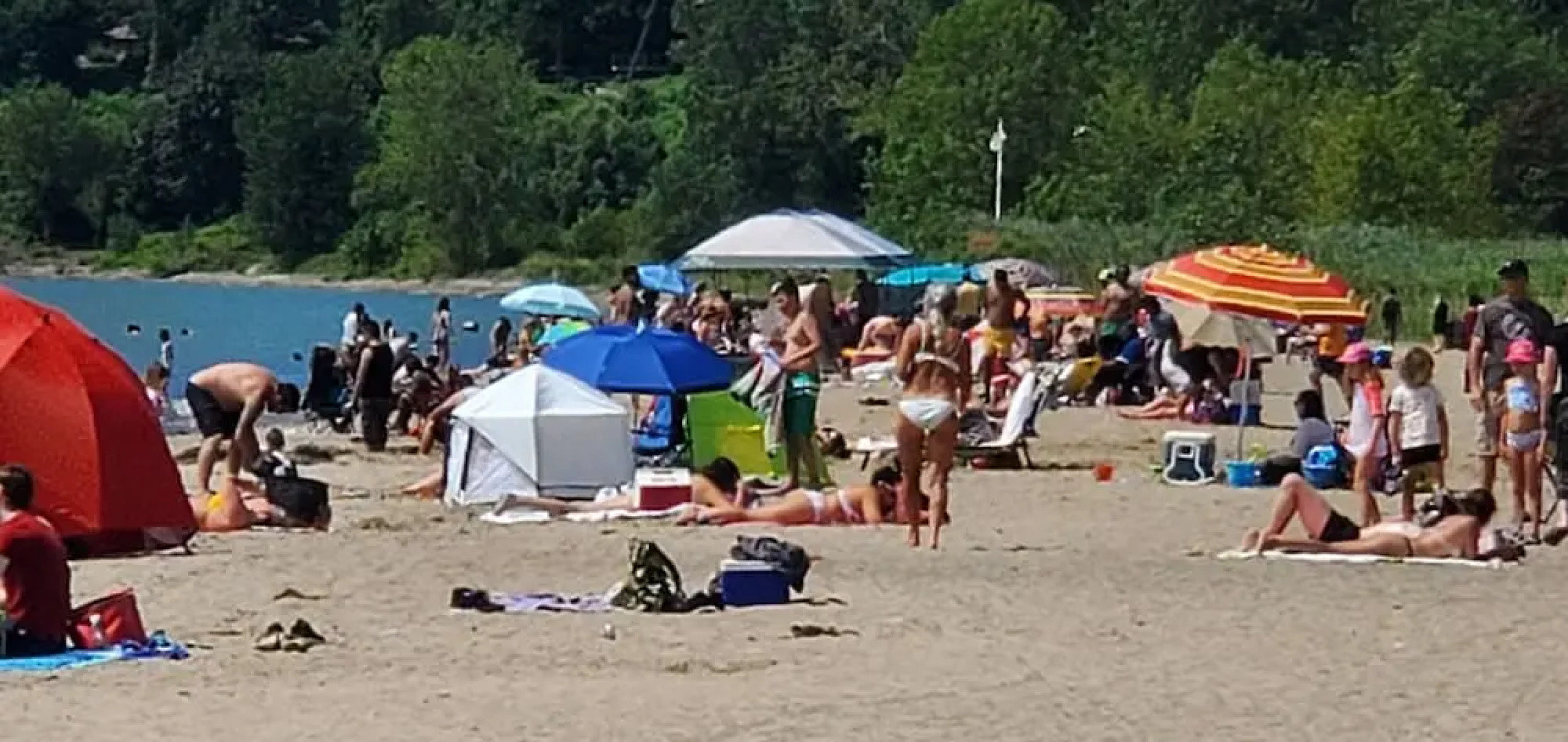 Coastal #1 and Cozy #2 - Seacliff Beach Suites