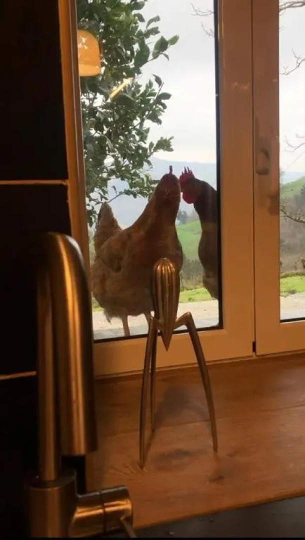 CHILL & ZEN - Caserío Itxaiz -