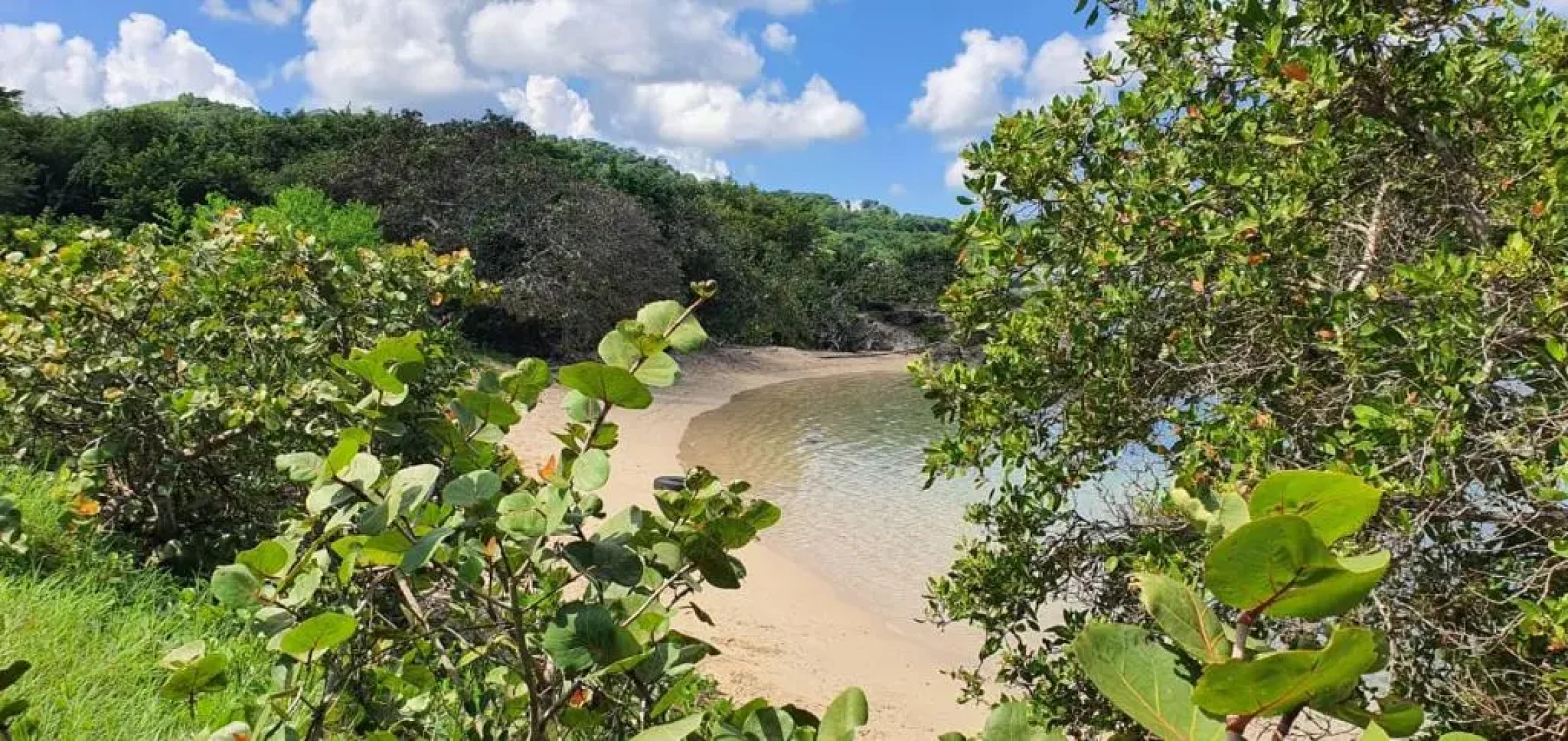 Paradise Oasis at Oceanpointe