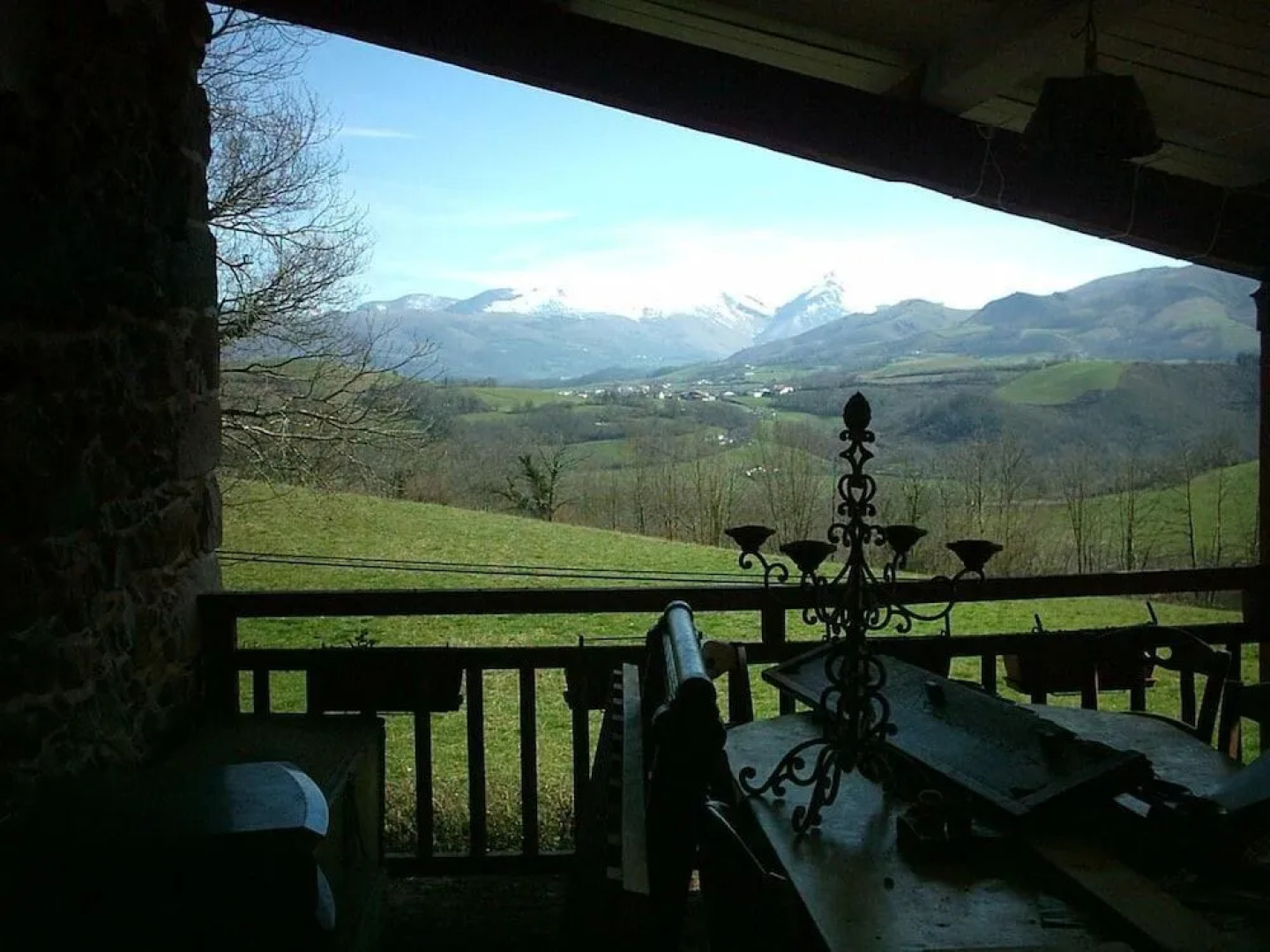 La Coquille Napoléon