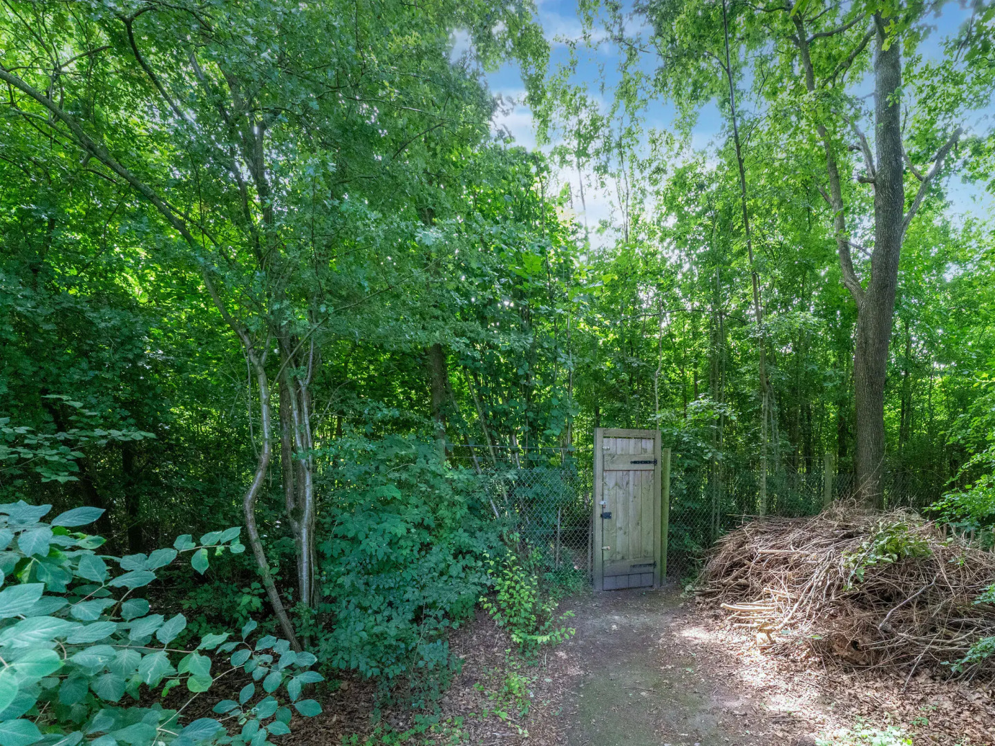 Picturesque Cottage on Park Hunzebergen