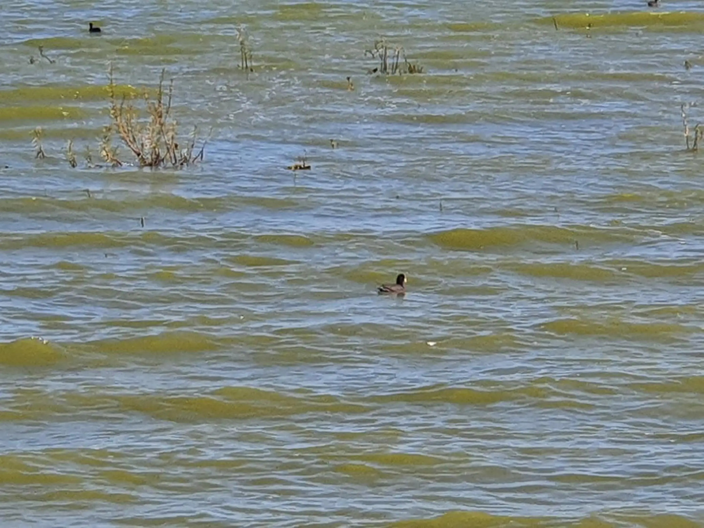 Parcela de 3 hectáreas con orilla de Lago