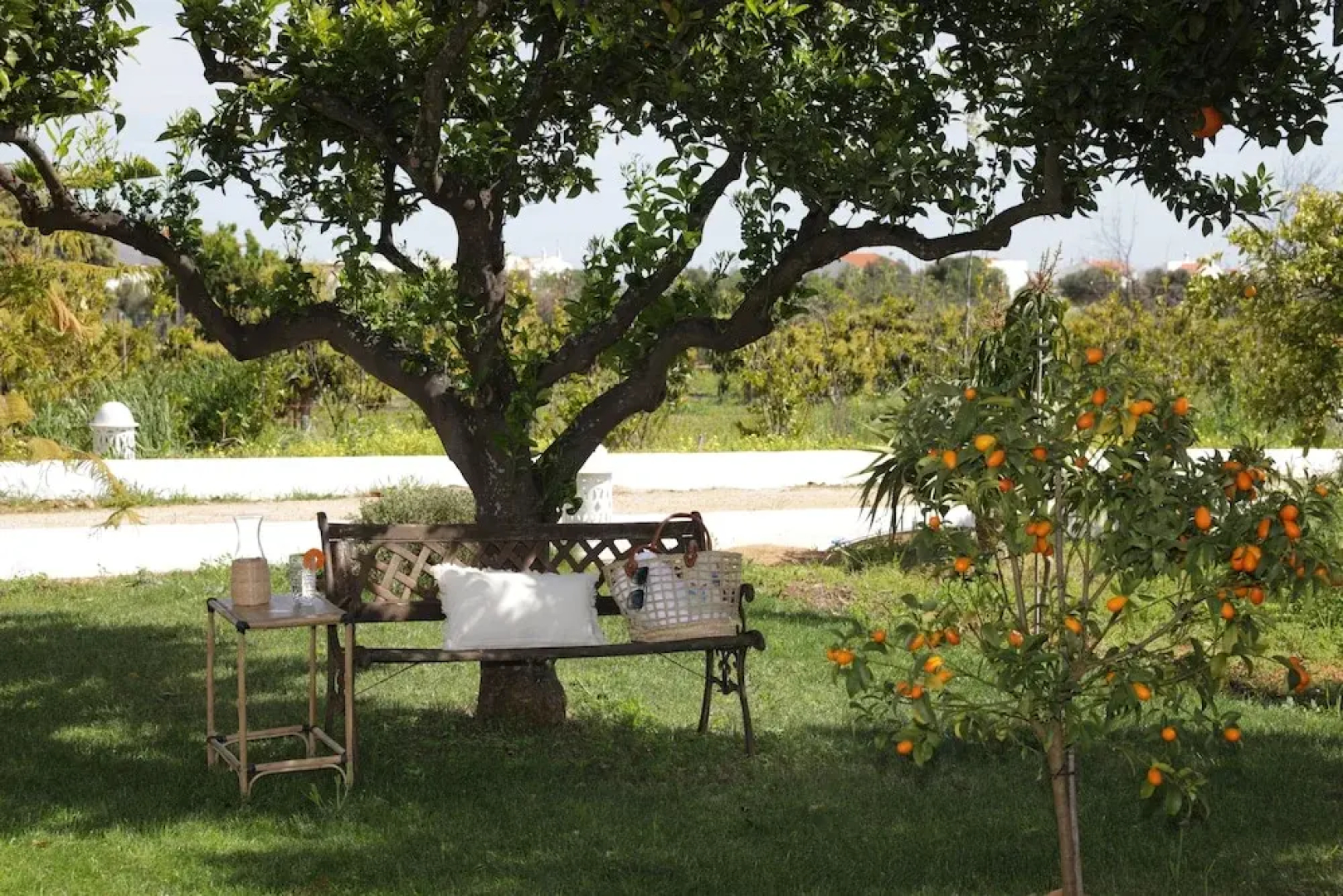Quinta Baltazar