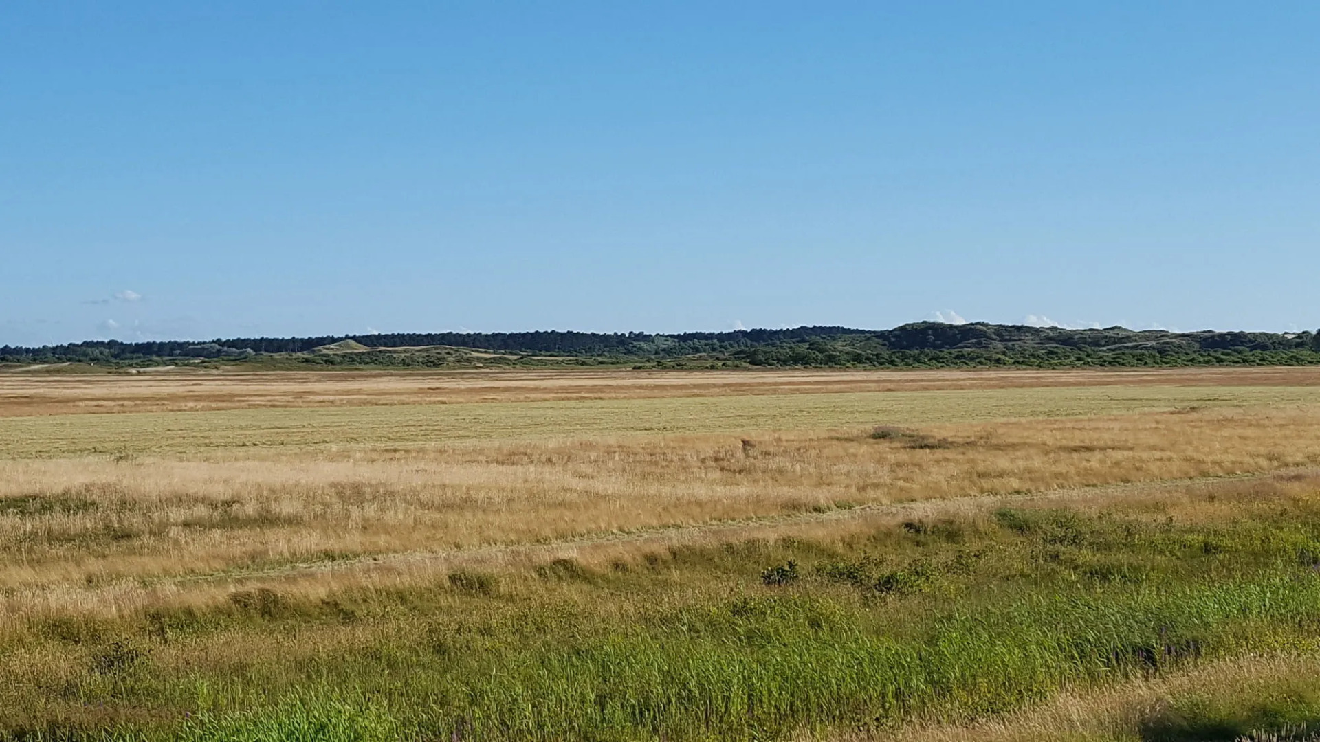 Fletcher Duinhotel Burgh Haamstede