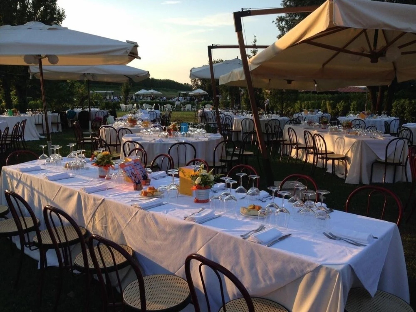 Conte Pietro Ferrara