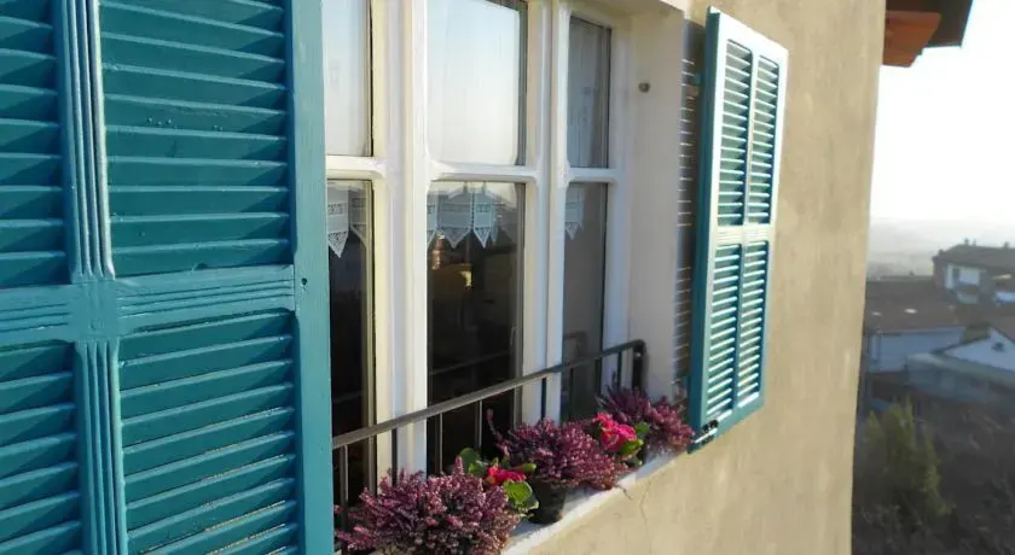 Il Bosco dei Ciliegi