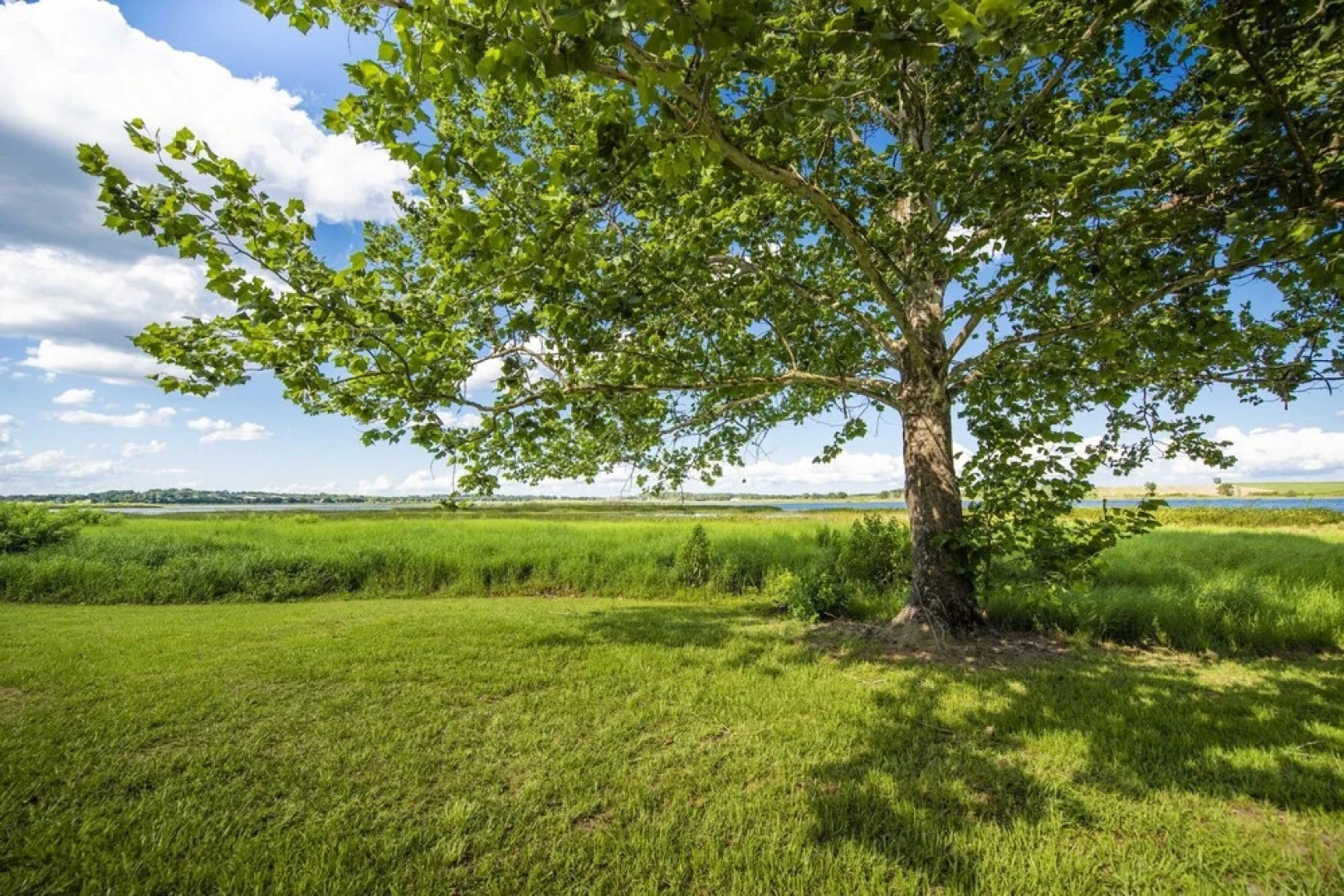 Paradise 04 - Lake Sumner