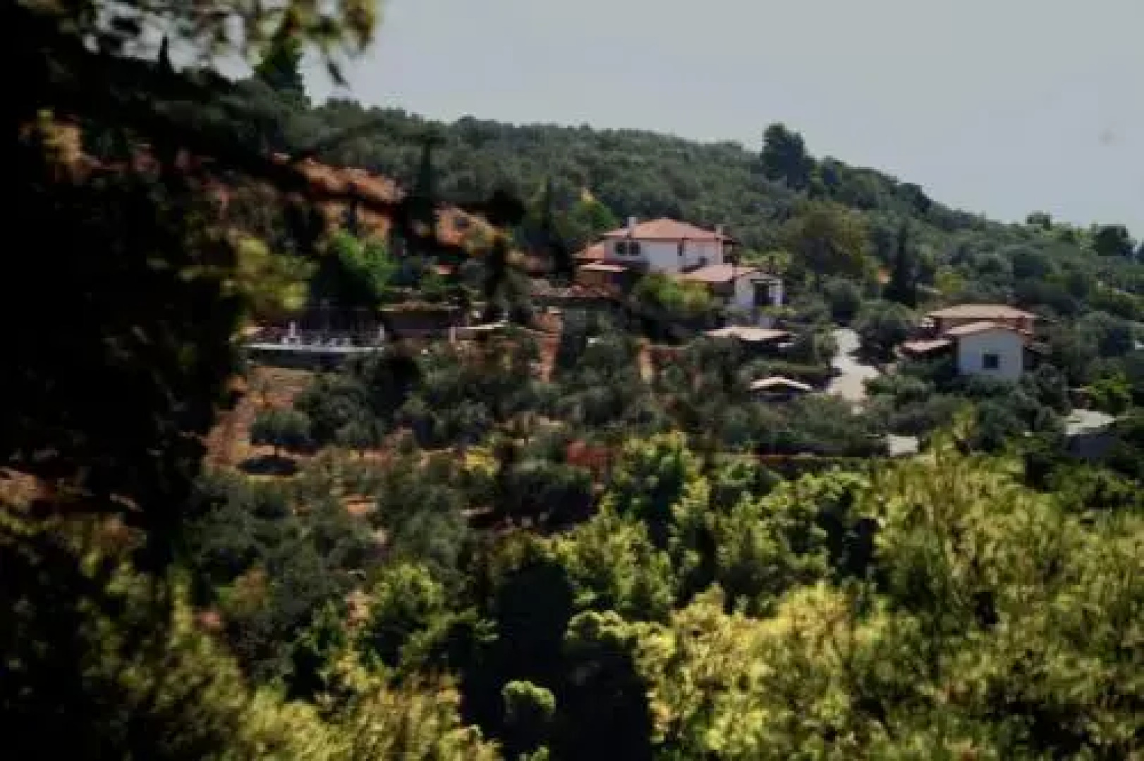Vateri