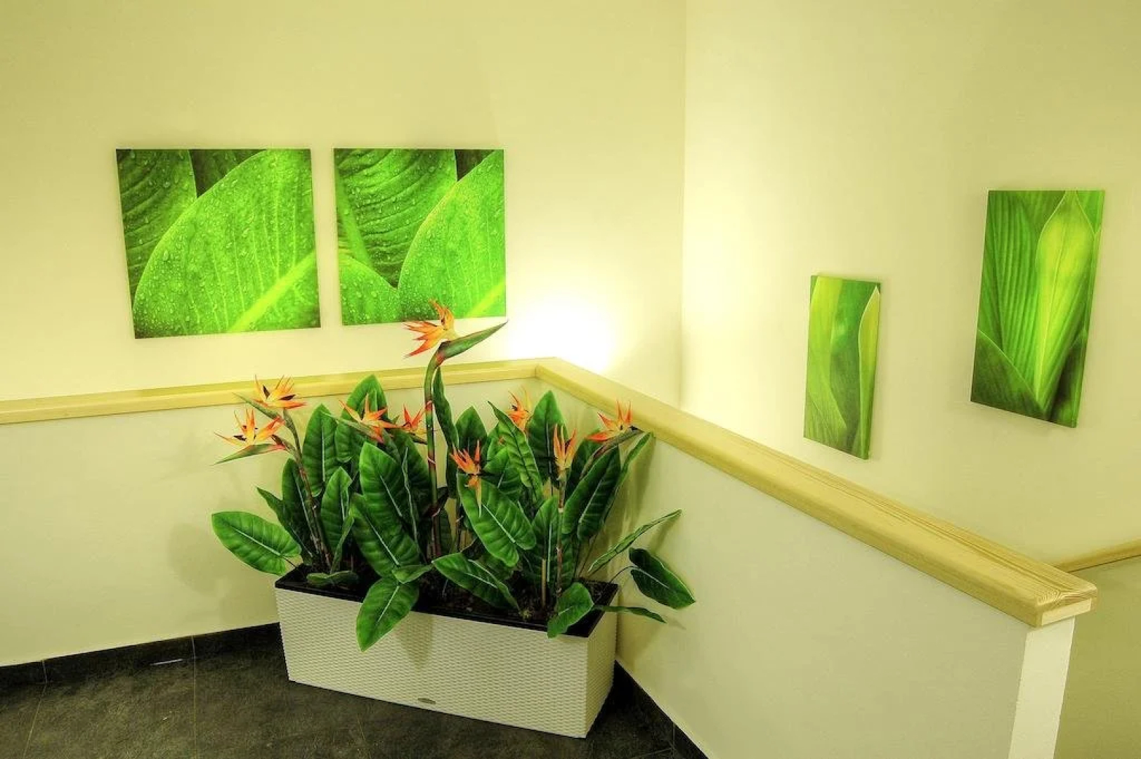 Wellness hotel Říčky