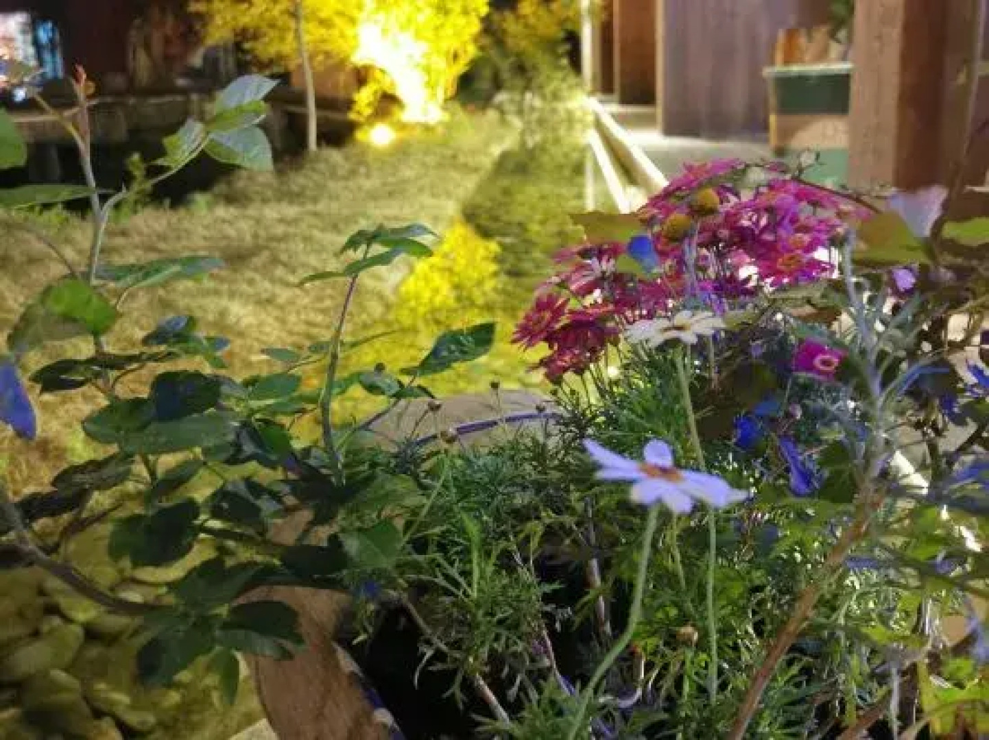 Yunxi Bieyuan Guesthouse