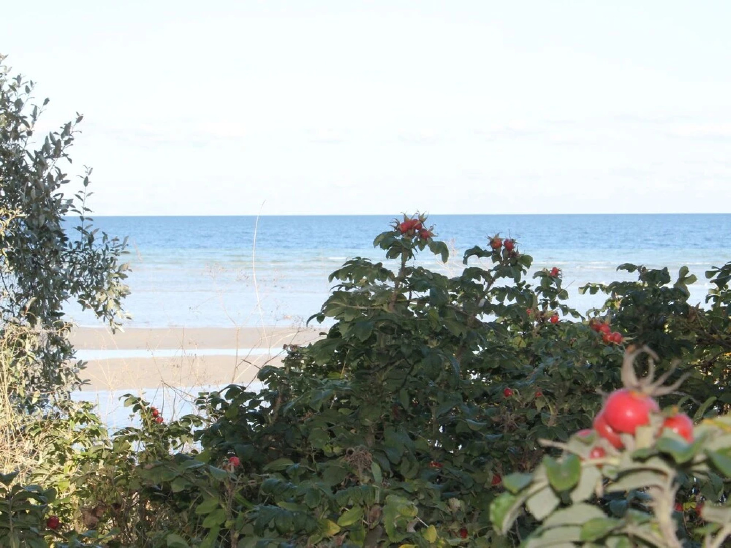 Luxurious Apartment in Alt Farpen With Lake Near